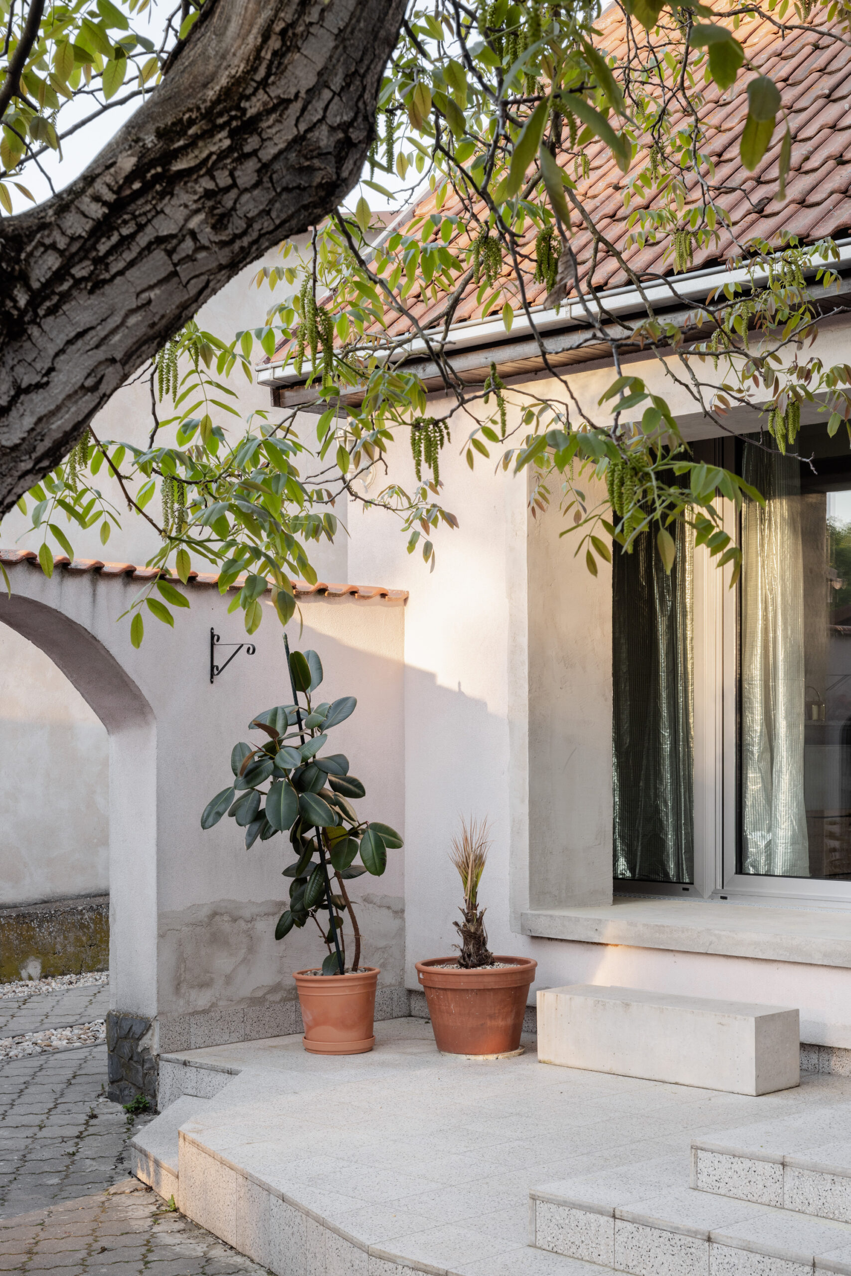 Reconstruction of a Reconstructed House