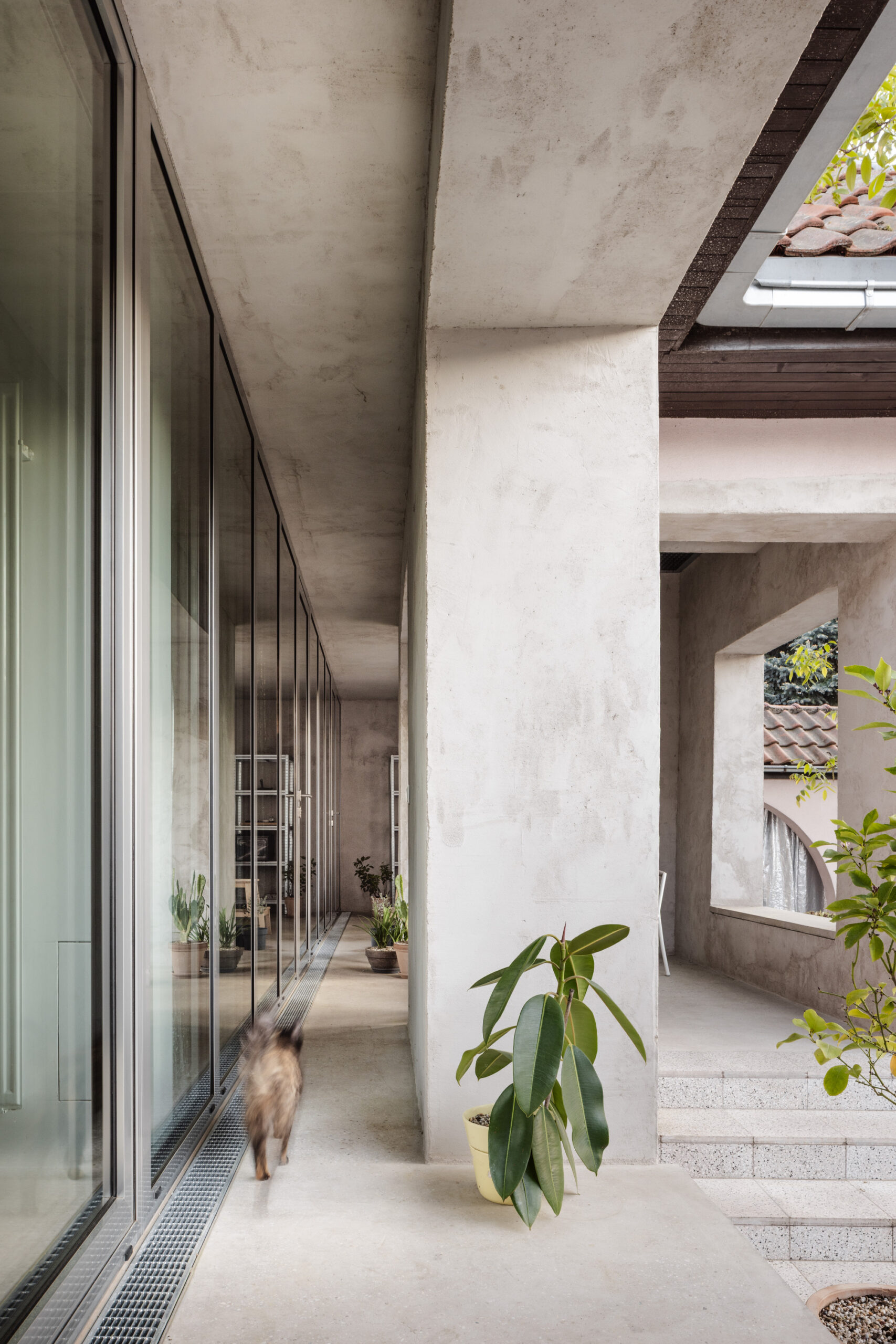 Reconstruction of a Reconstructed House