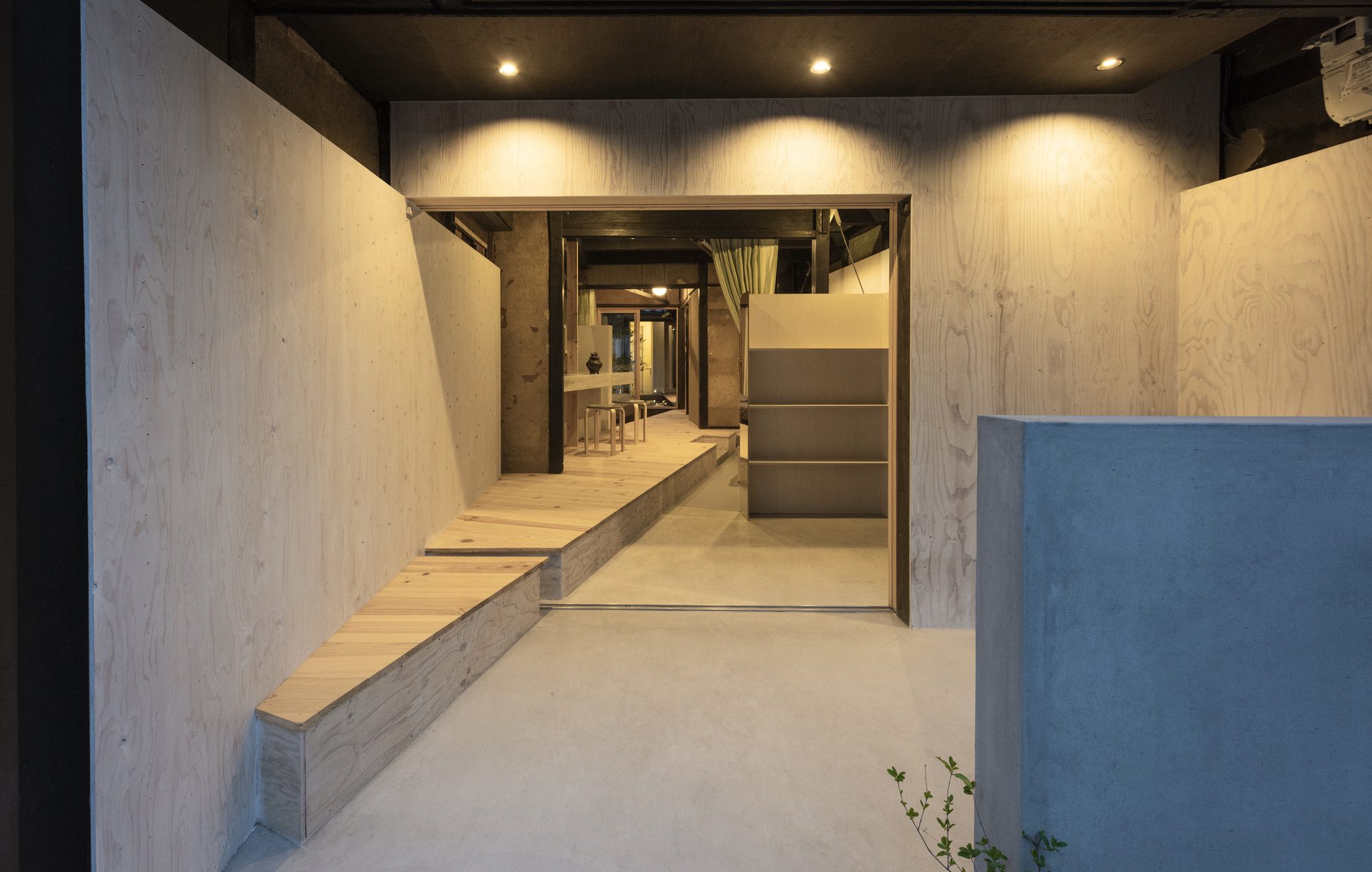 Beauty Acupuncture Clinic Ryu no Ana