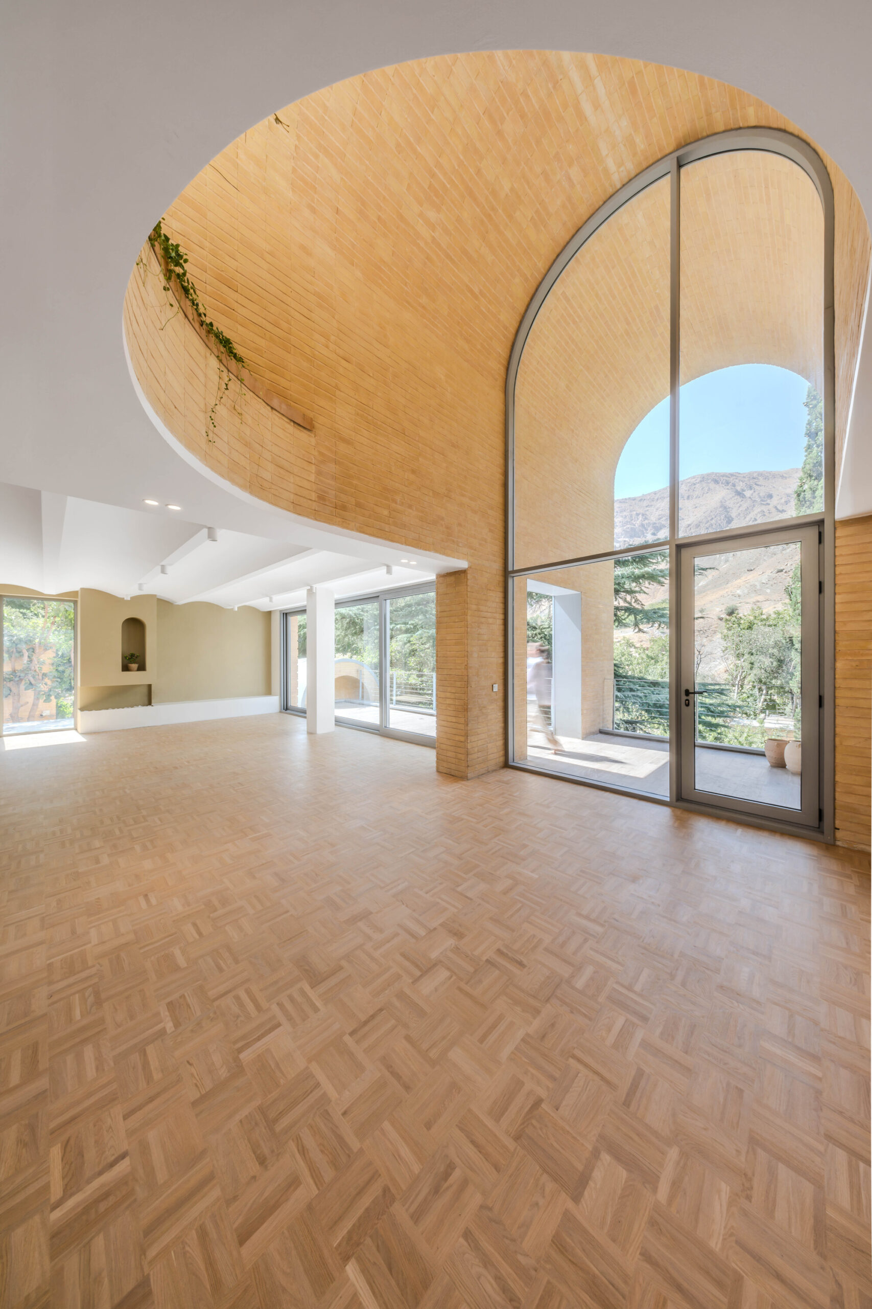 A House Looking to A Cedrus Tree