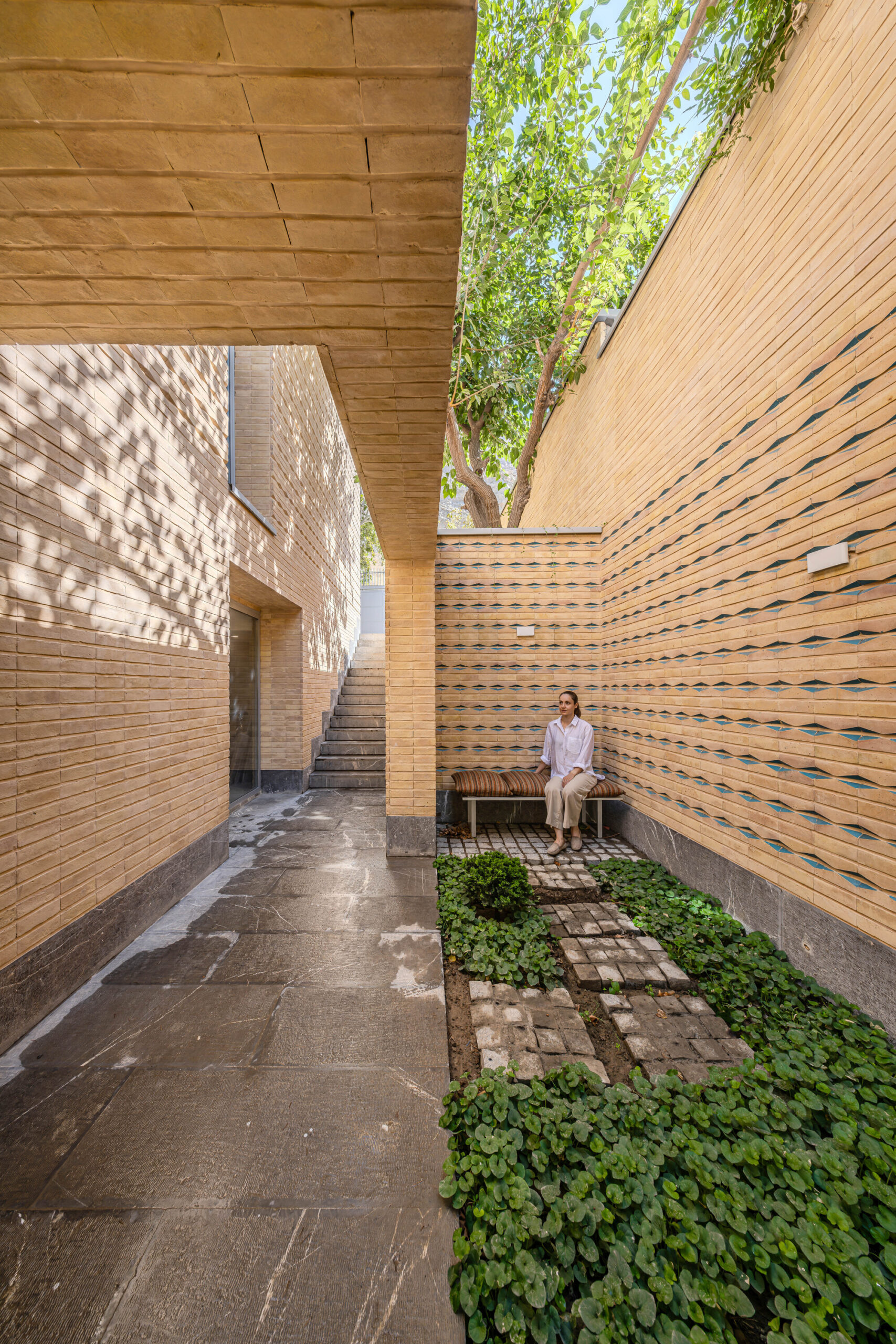 A House Looking to A Cedrus Tree