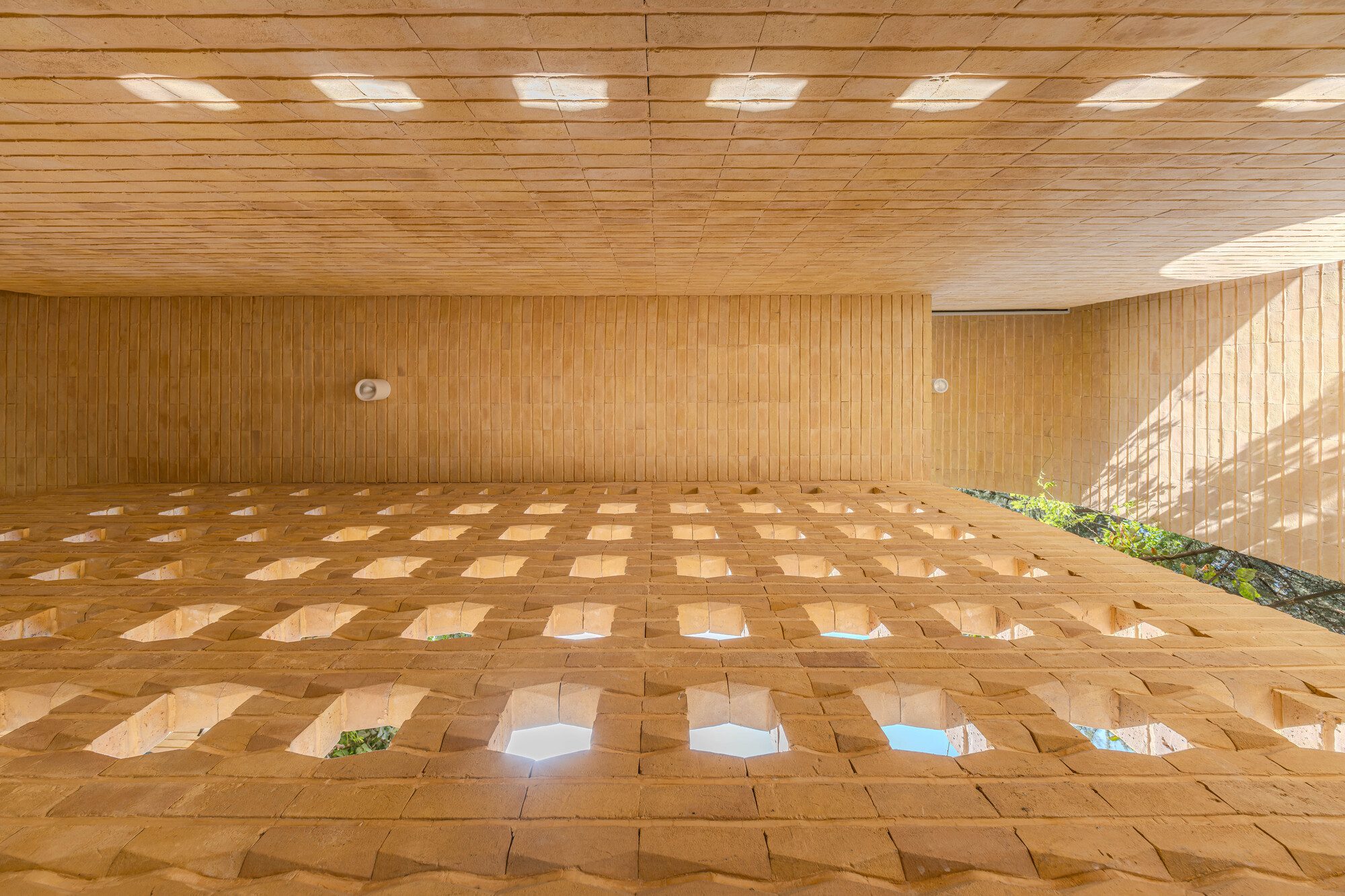 A House Looking to A Cedrus Tree