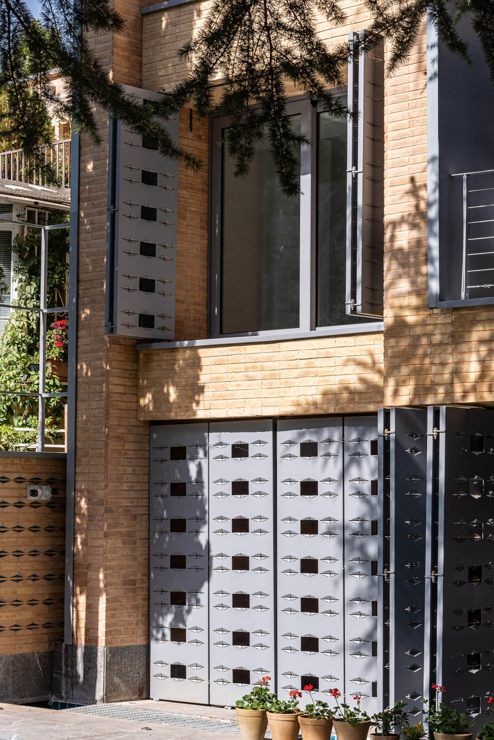 A House Looking to A Cedrus Tree