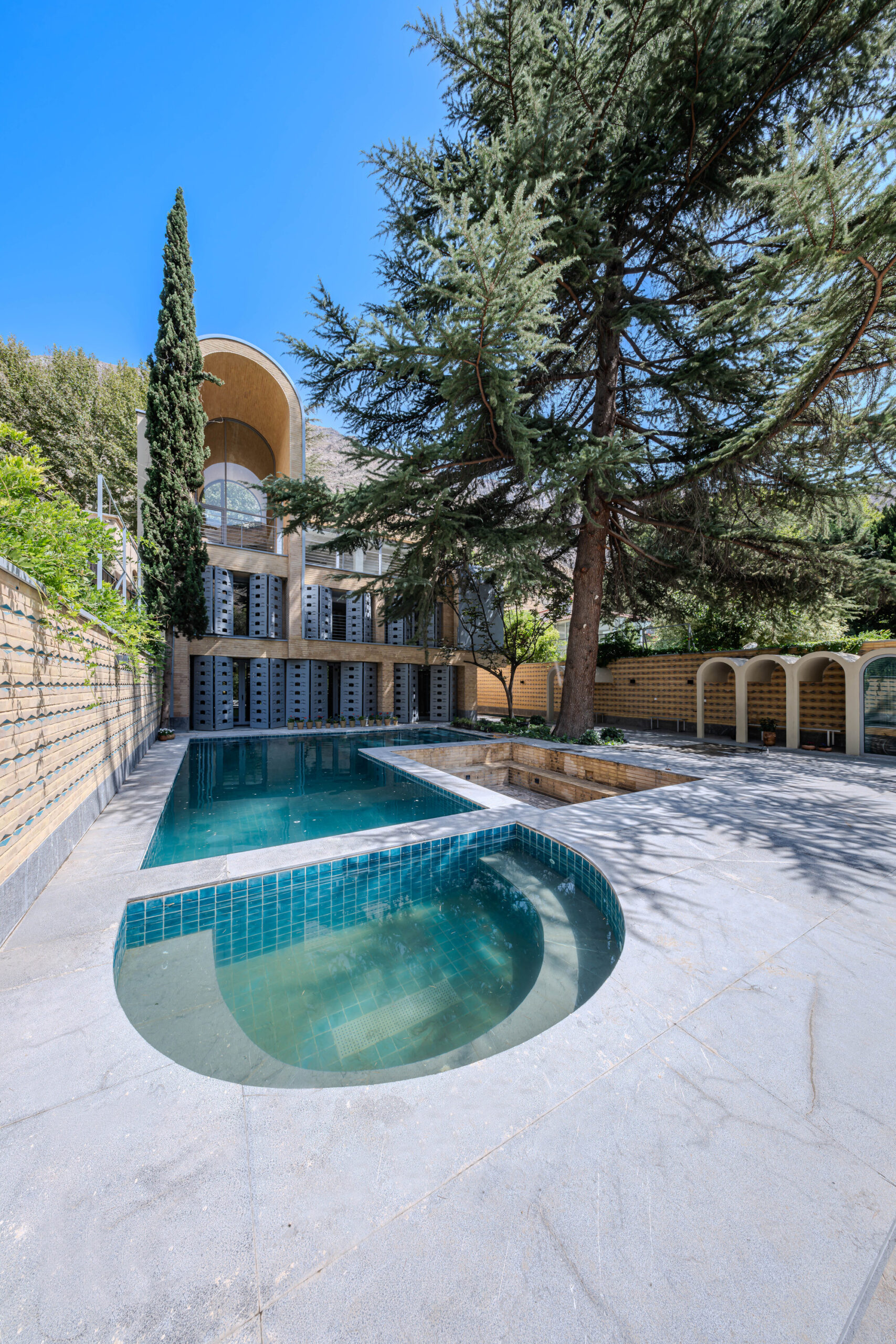 A House Looking to A Cedrus Tree