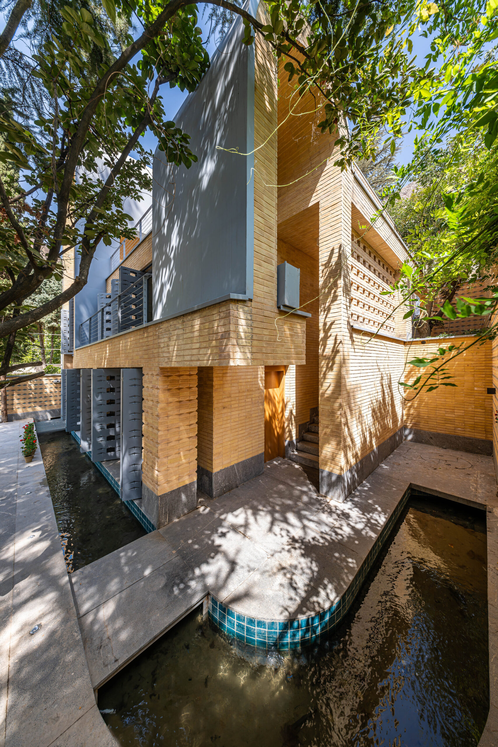 A House Looking to A Cedrus Tree