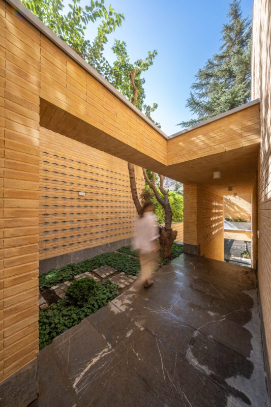 © Mohammad Hosein Hamzehlouei5