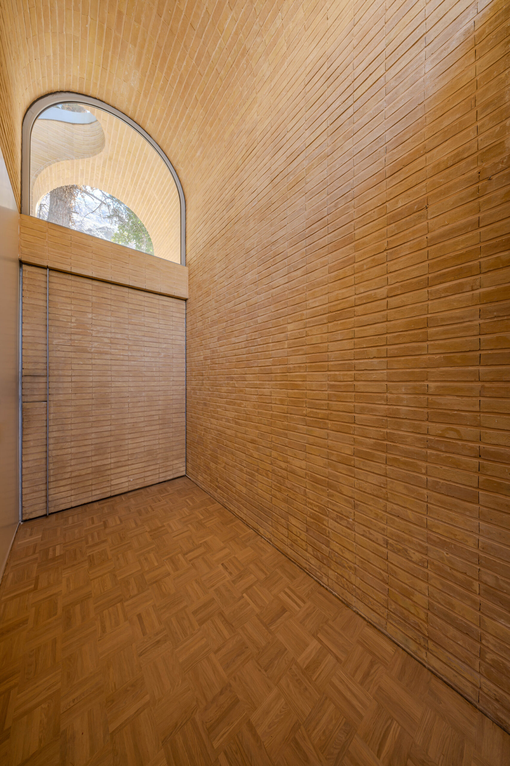 A House Looking to A Cedrus Tree