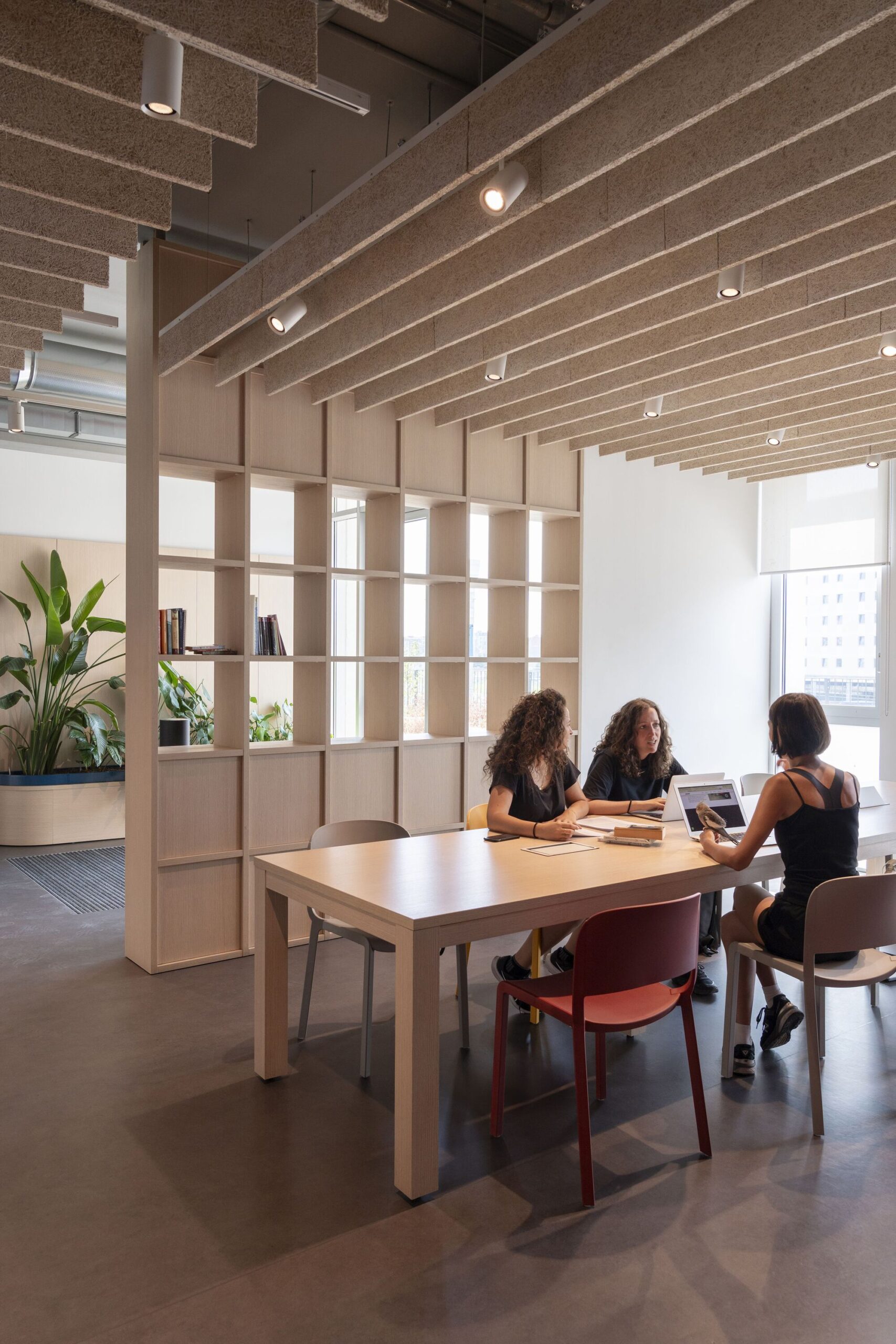 Consorzio Agrario Adaptive Reuse