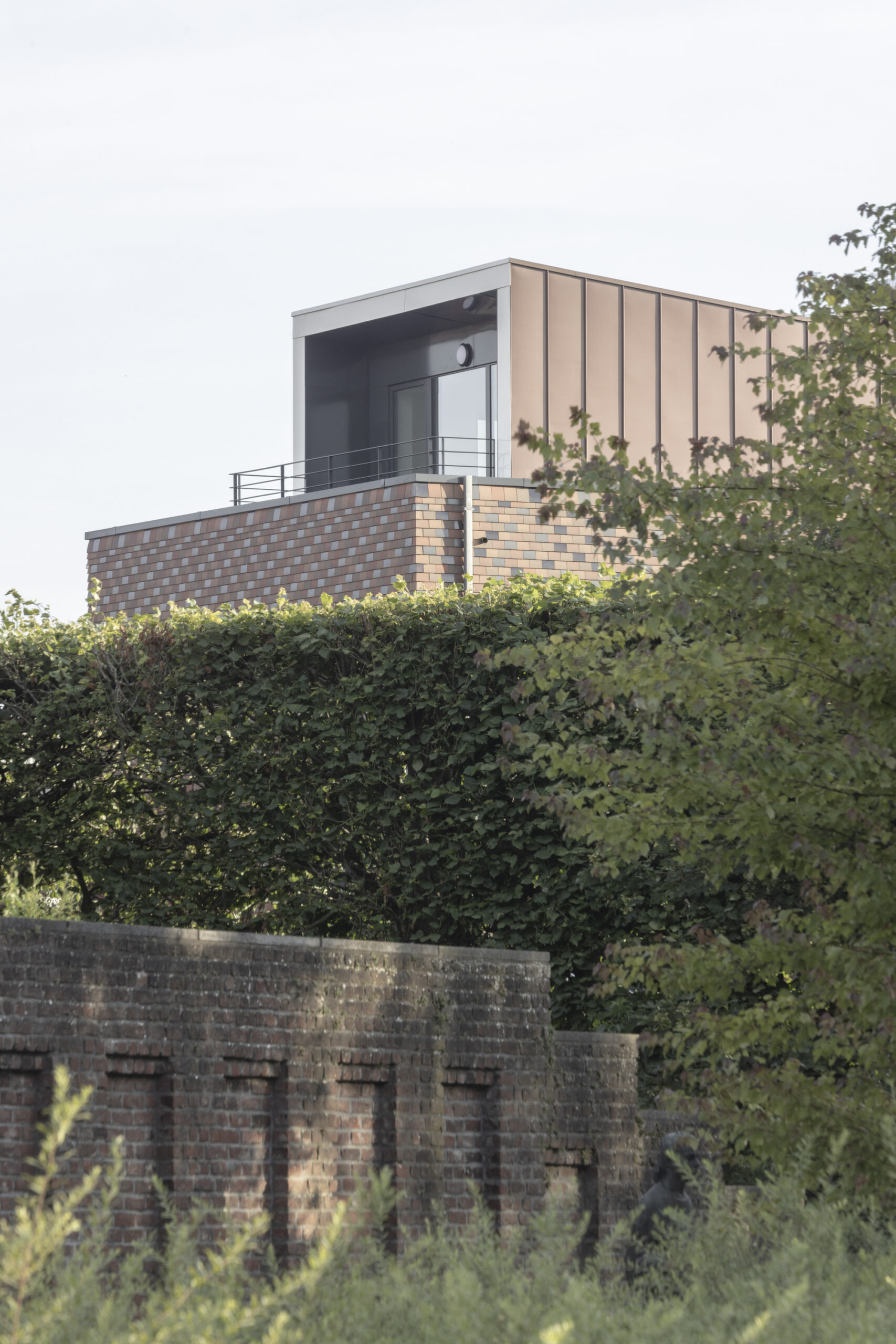 Roche Fatale Social Housing Renovation