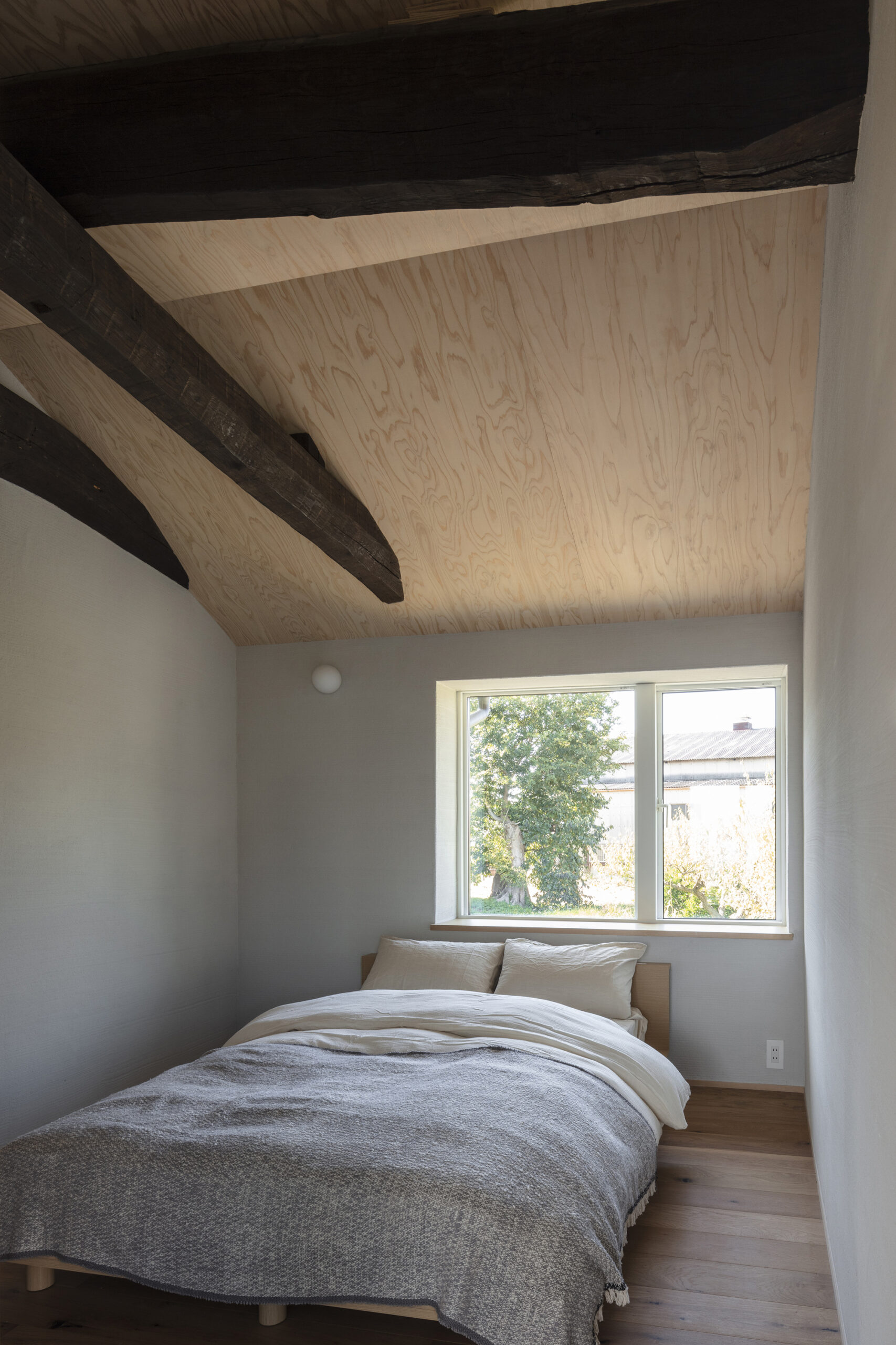 Renka Residence