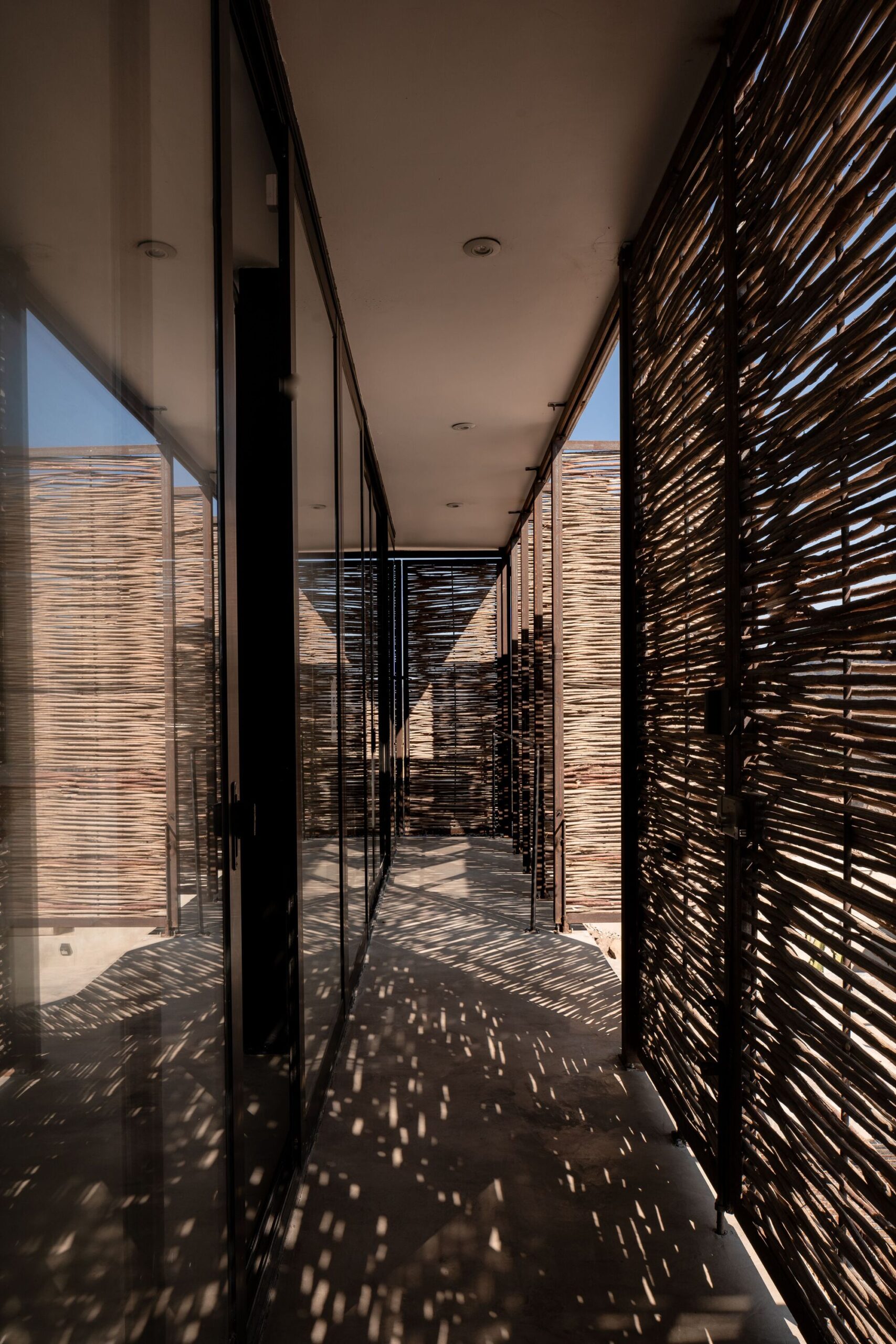 © Oscar Daniel Hernandez Rodriguez15