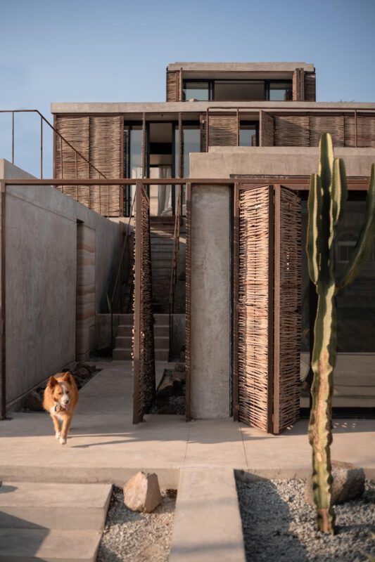 © Oscar Daniel Hernandez Rodriguez3