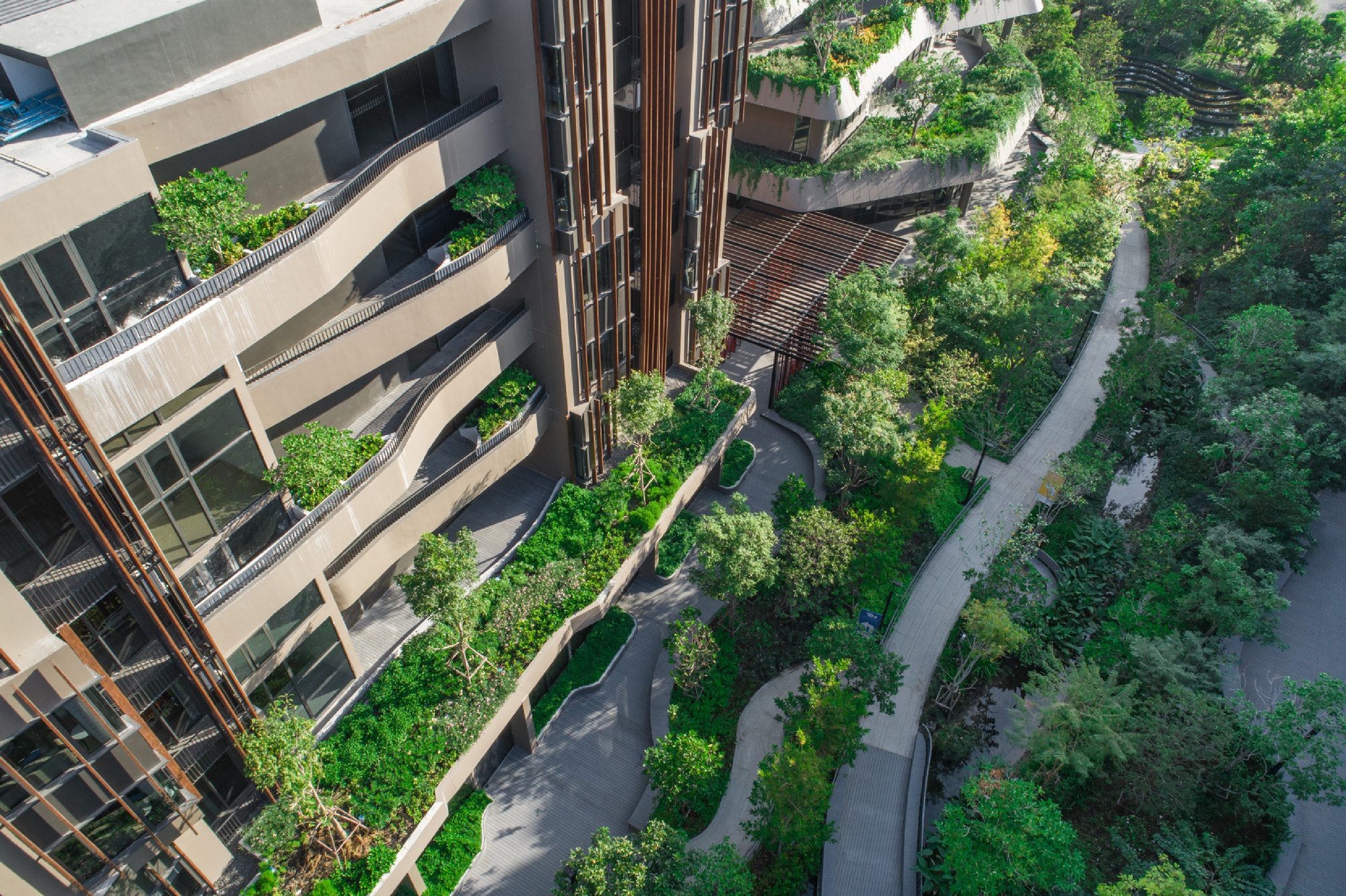 Jin Wellbeing County