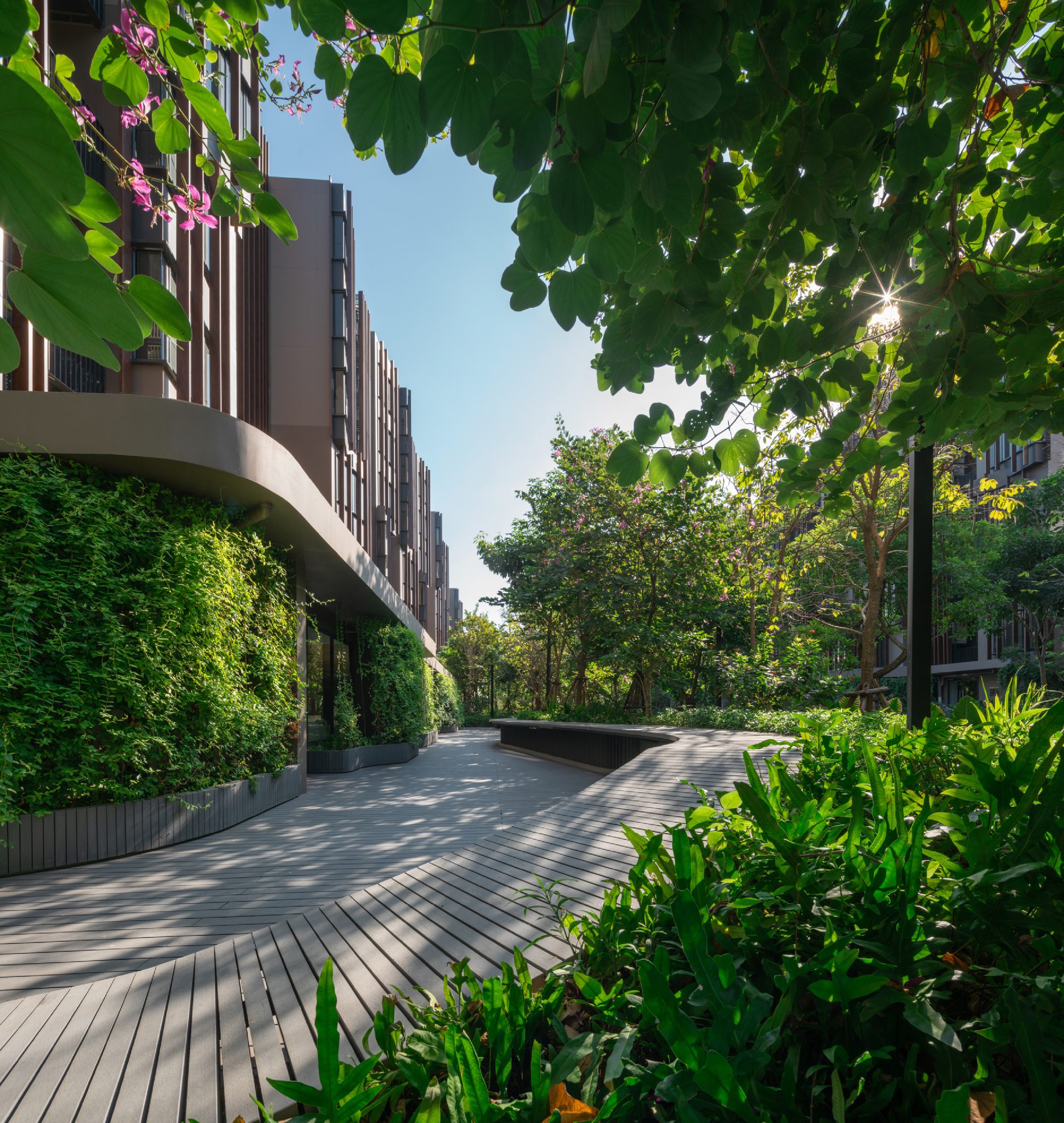 Jin Wellbeing County