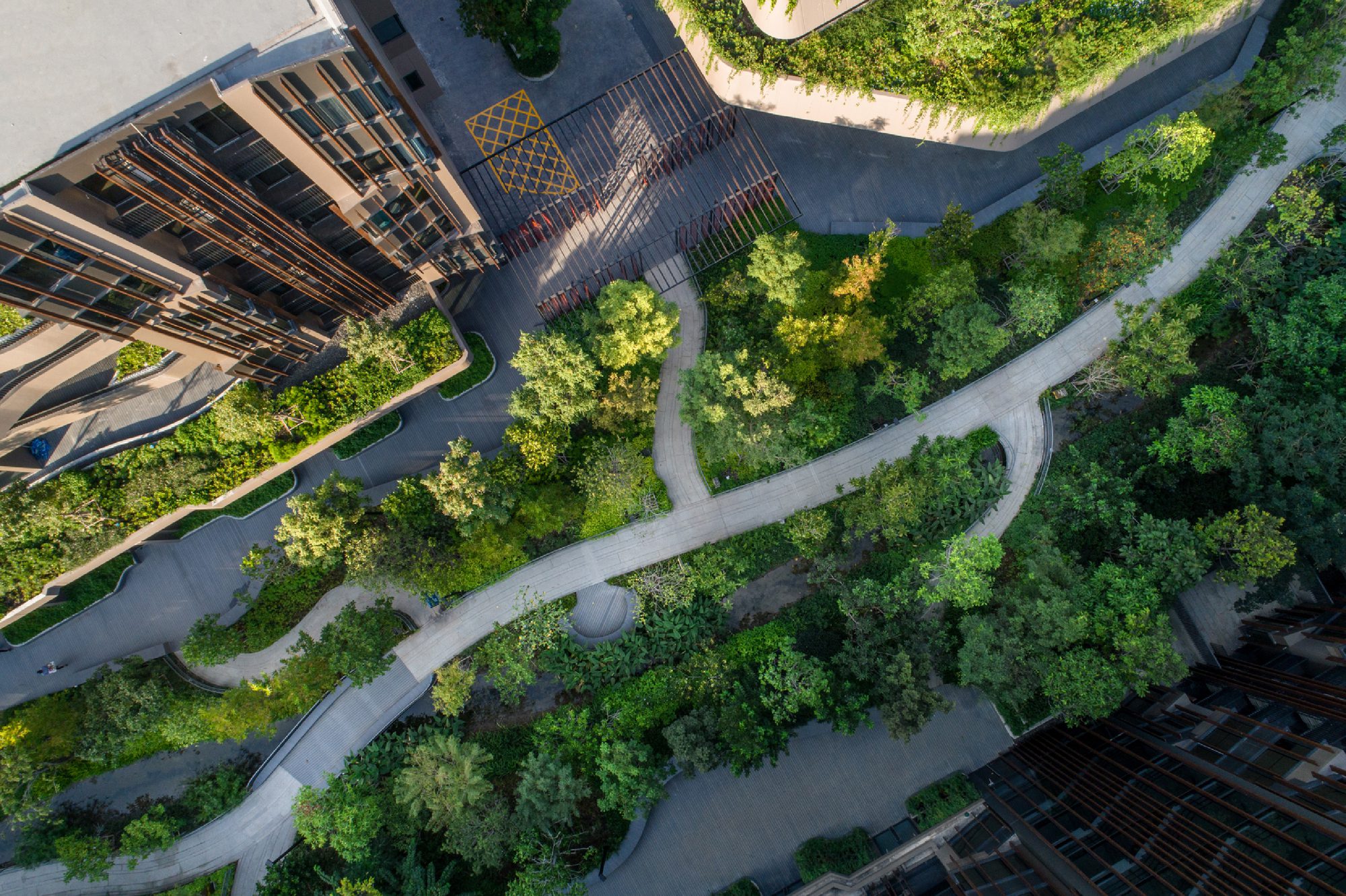 Jin Wellbeing County