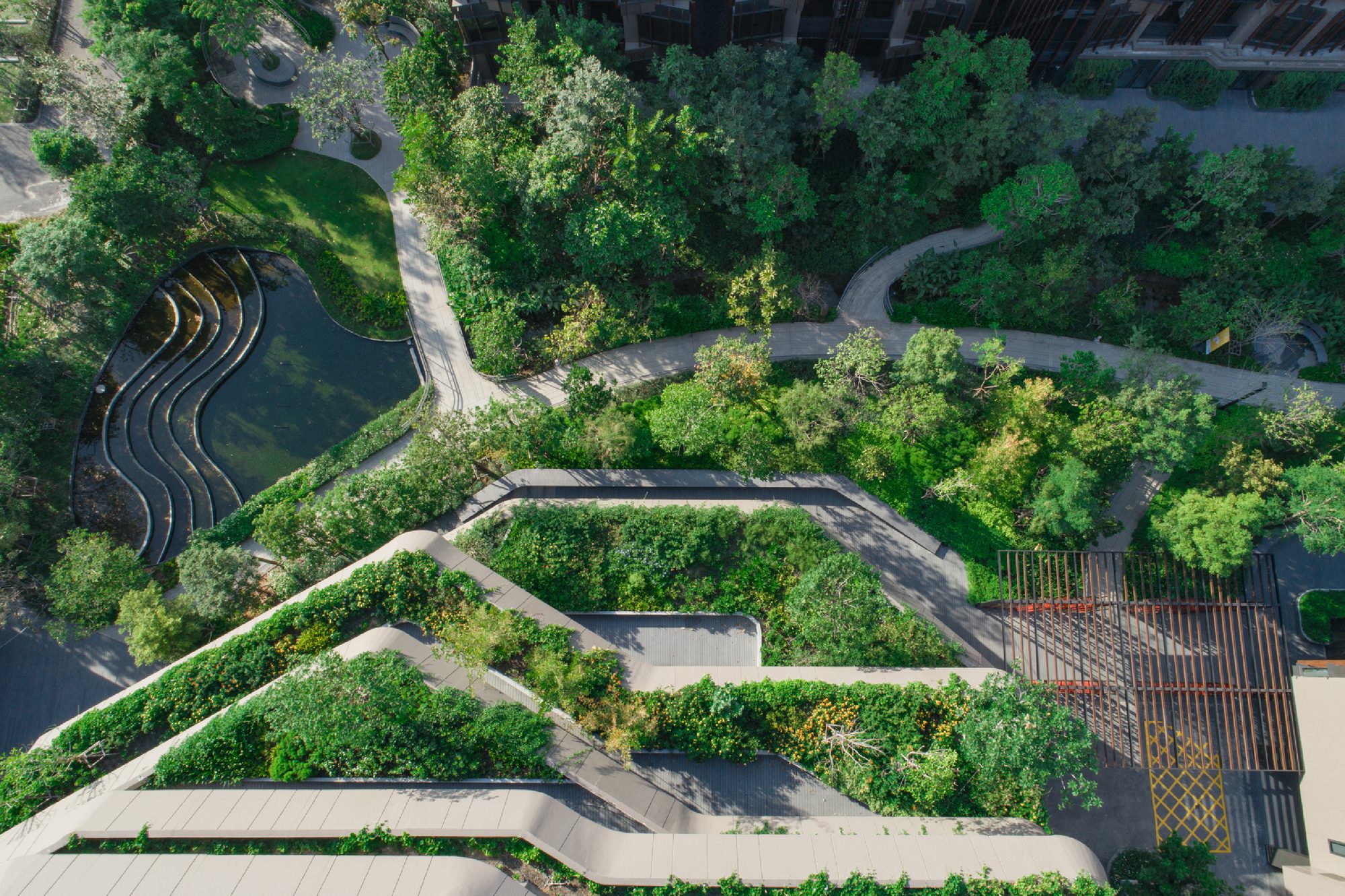 Jin Wellbeing County