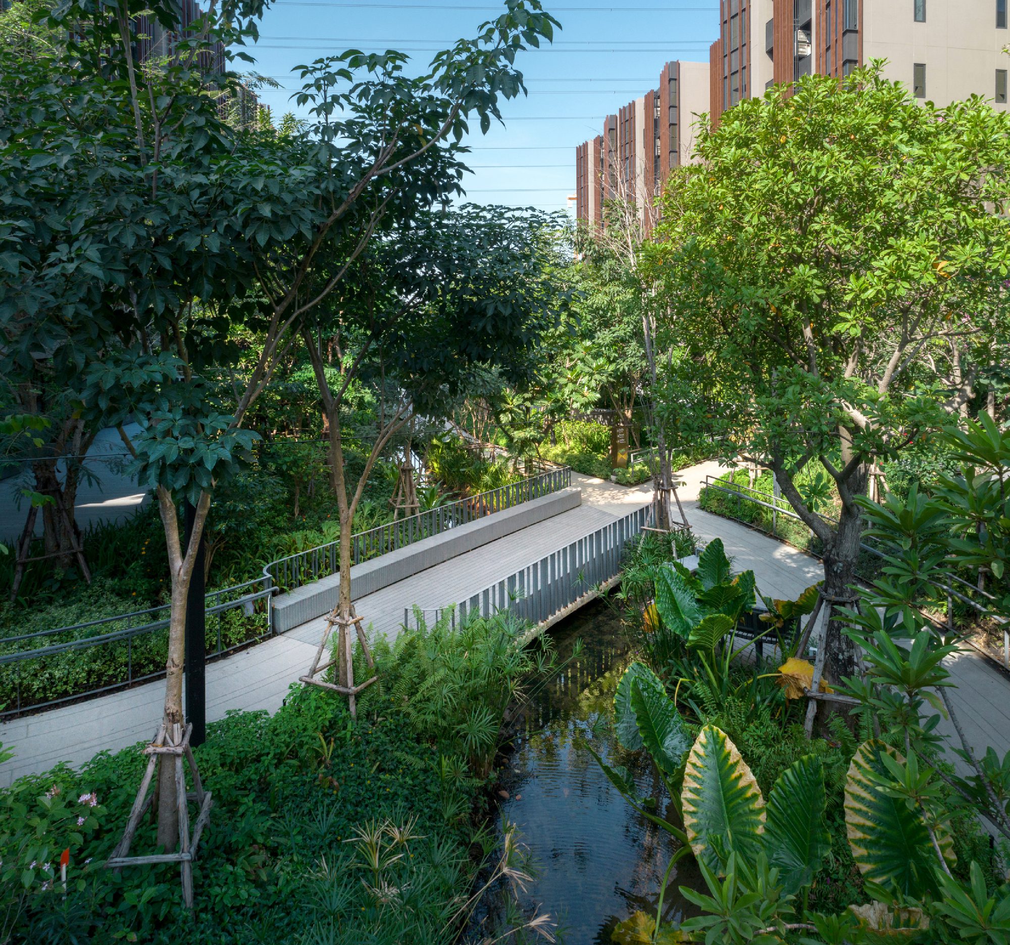 Jin Wellbeing County