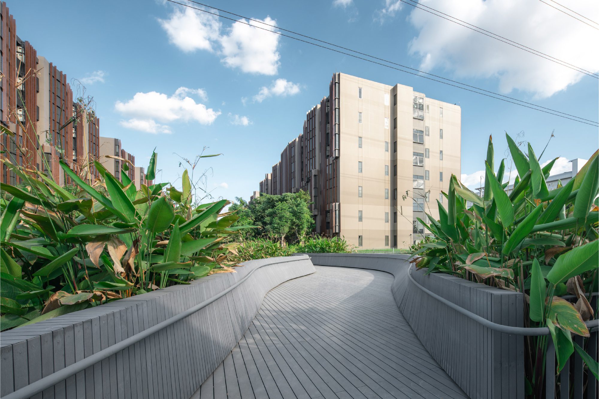 Jin Wellbeing County