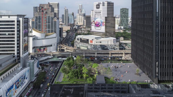 Sky Forest Scape | Shma Company Limited