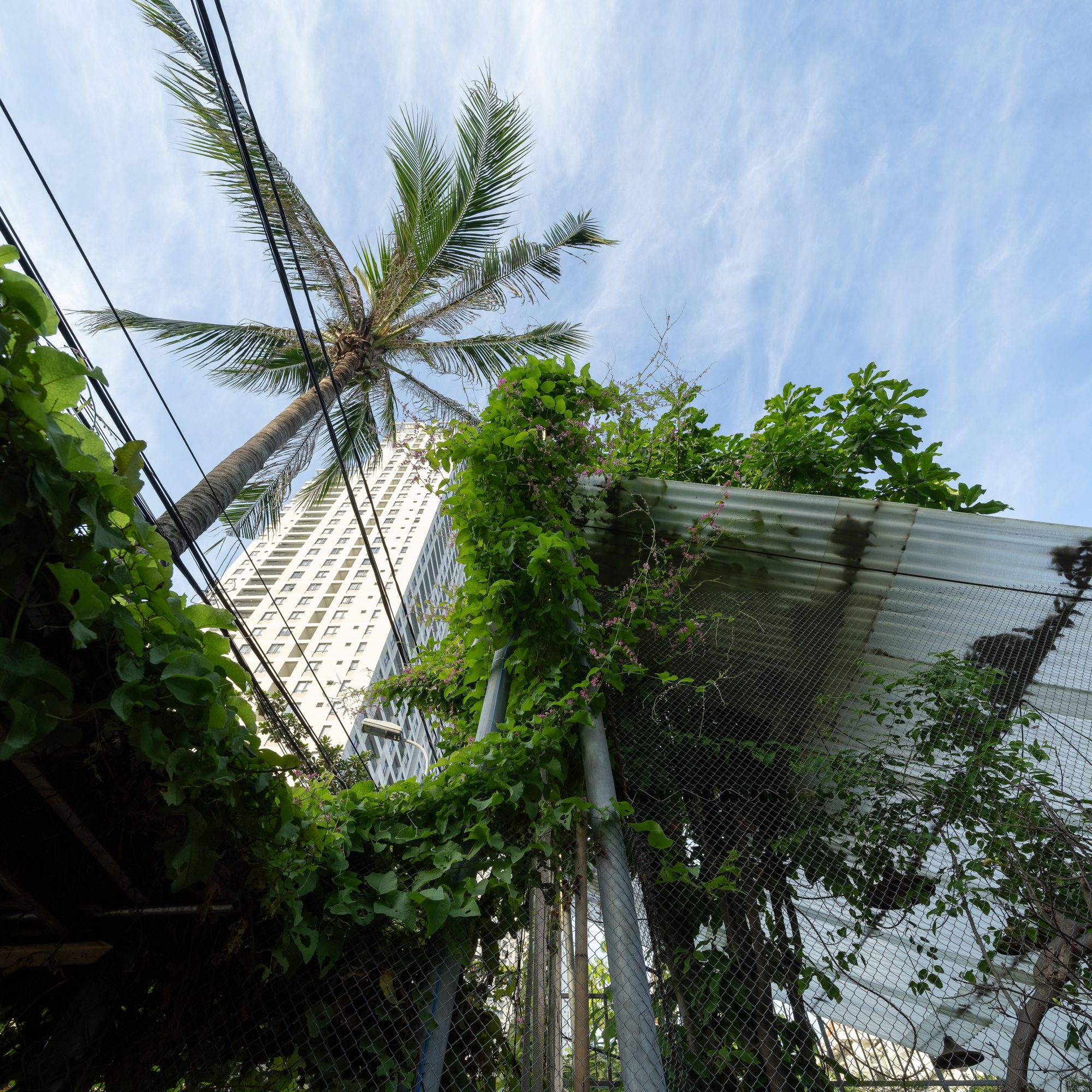 O Plant-based Thao Dien Cafe