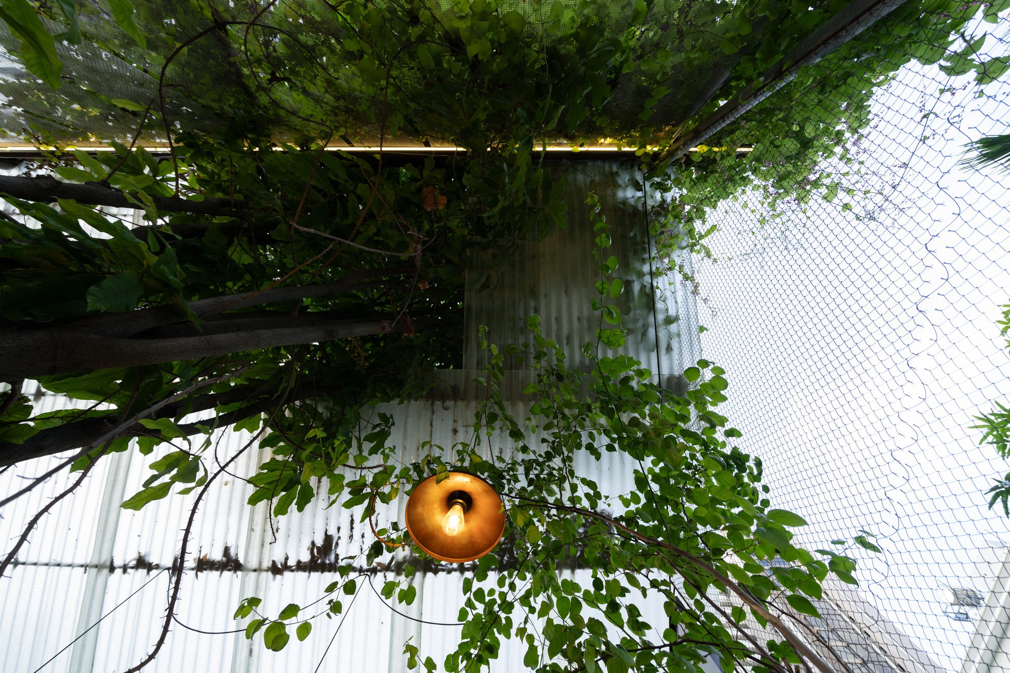 O Plant-based Thao Dien Cafe