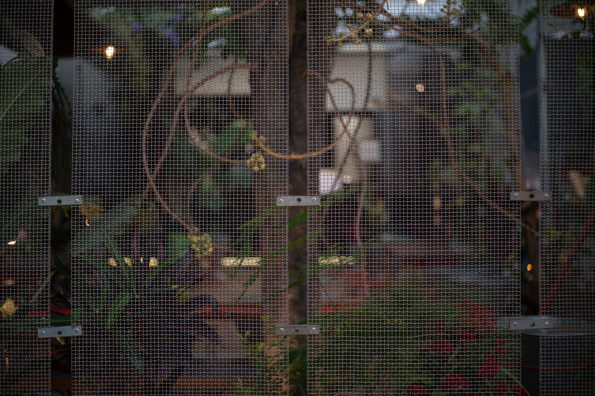 O Plant-based Thao Dien Cafe