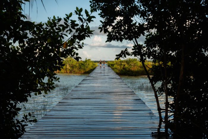 Bacalar Eco-Park | Colectivo C733