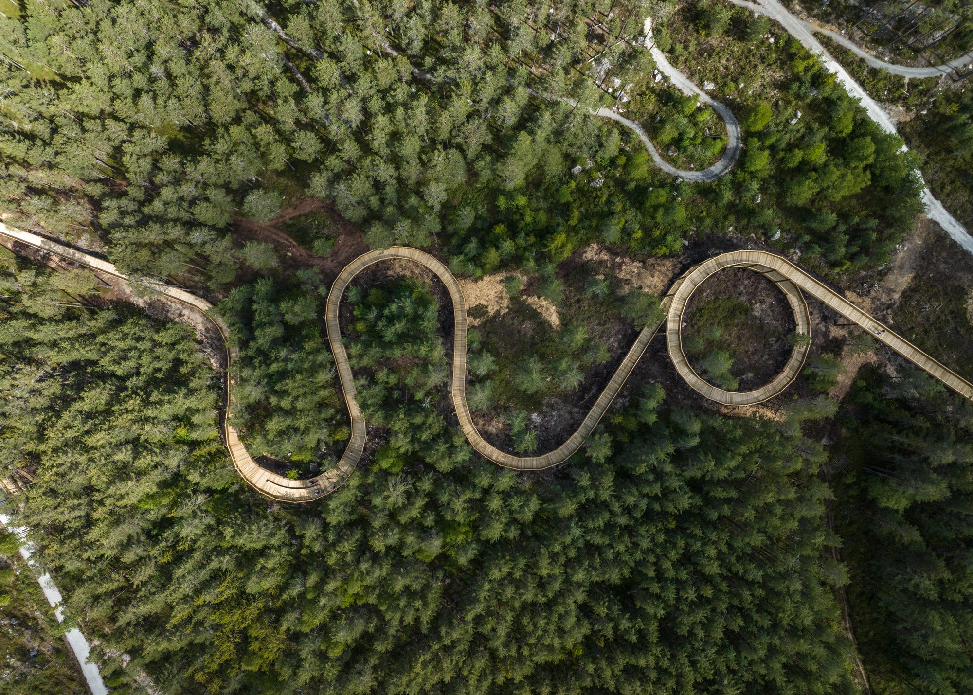 Treetop Walk Hamaren Activity Park