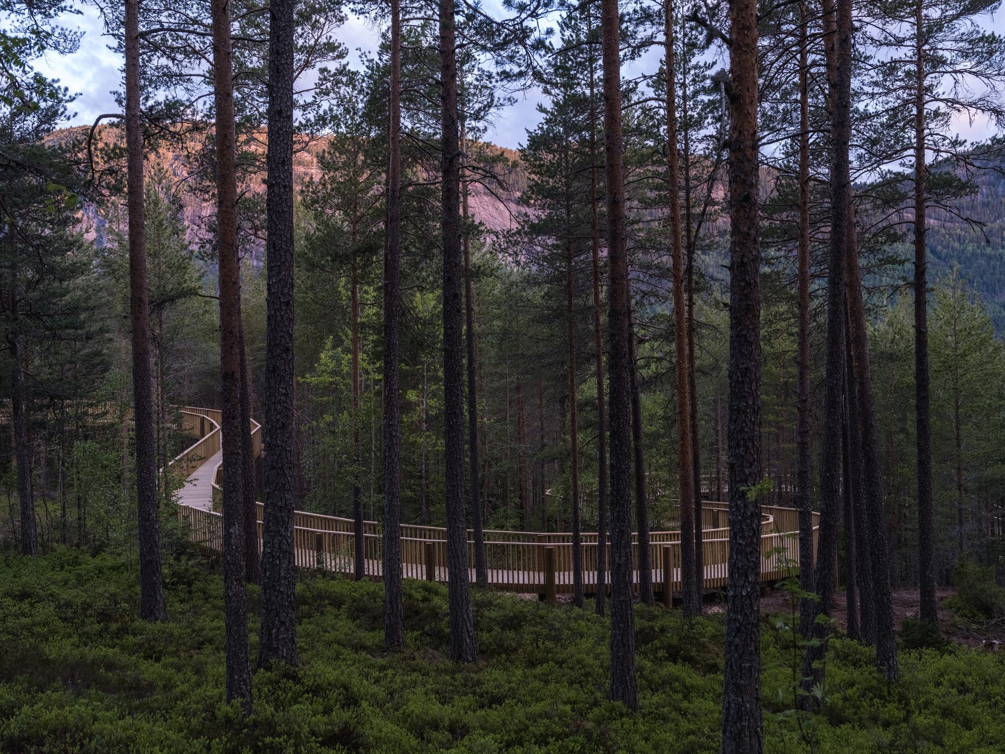 Treetop Walk Hamaren Activity Park