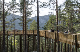 Treetop Walk Hamaren Activity Park