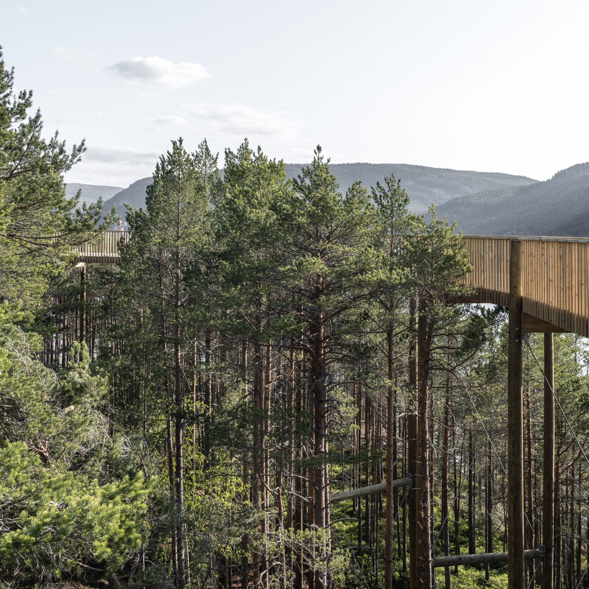 Treetop Walk Hamaren Activity Park