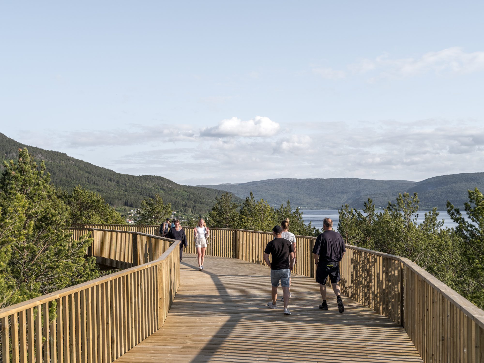 Treetop Walk Hamaren Activity Park