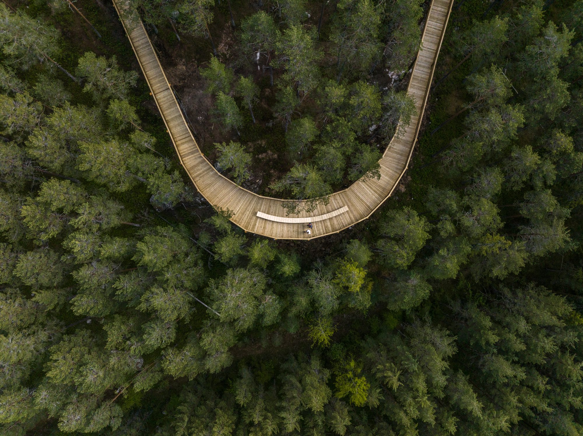 Treetop Walk Hamaren Activity Park