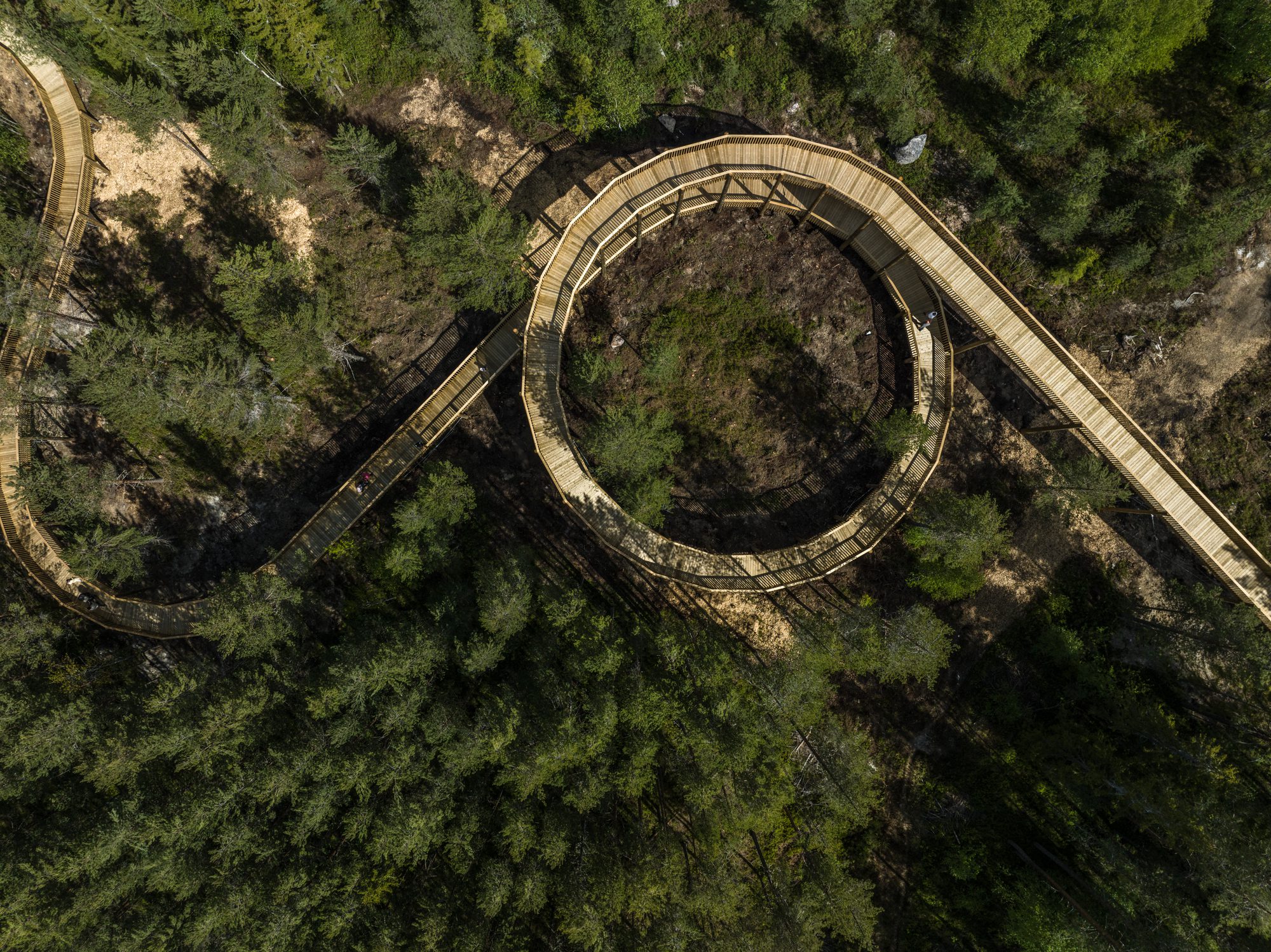 Treetop Walk Hamaren Activity Park