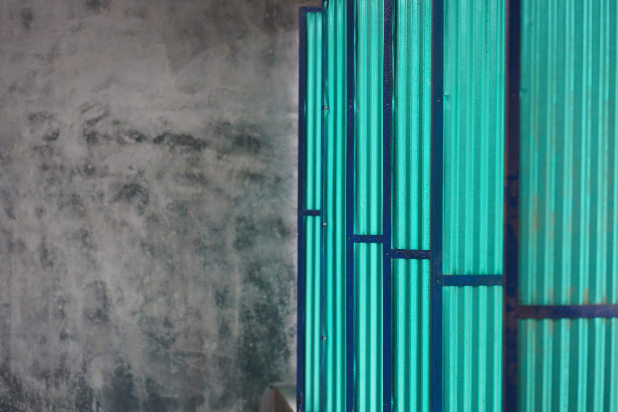 CSF Center for People With Disabilities