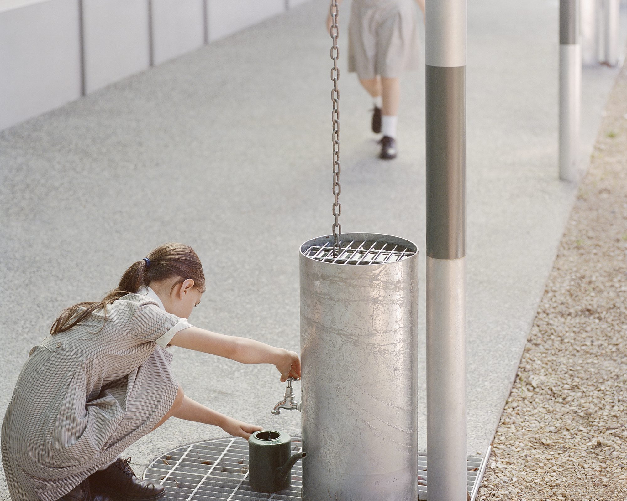 Firbank Sandringham Curiosity Centre