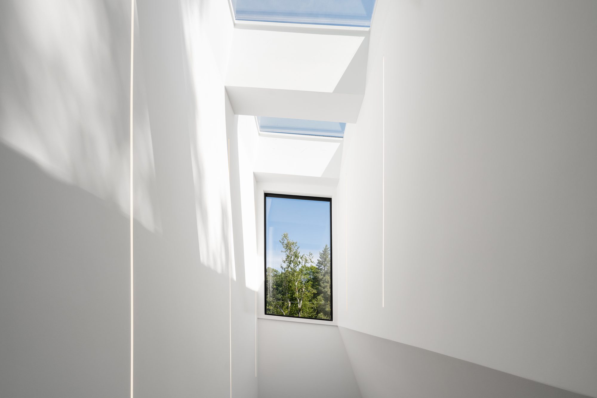 North York Ravine House