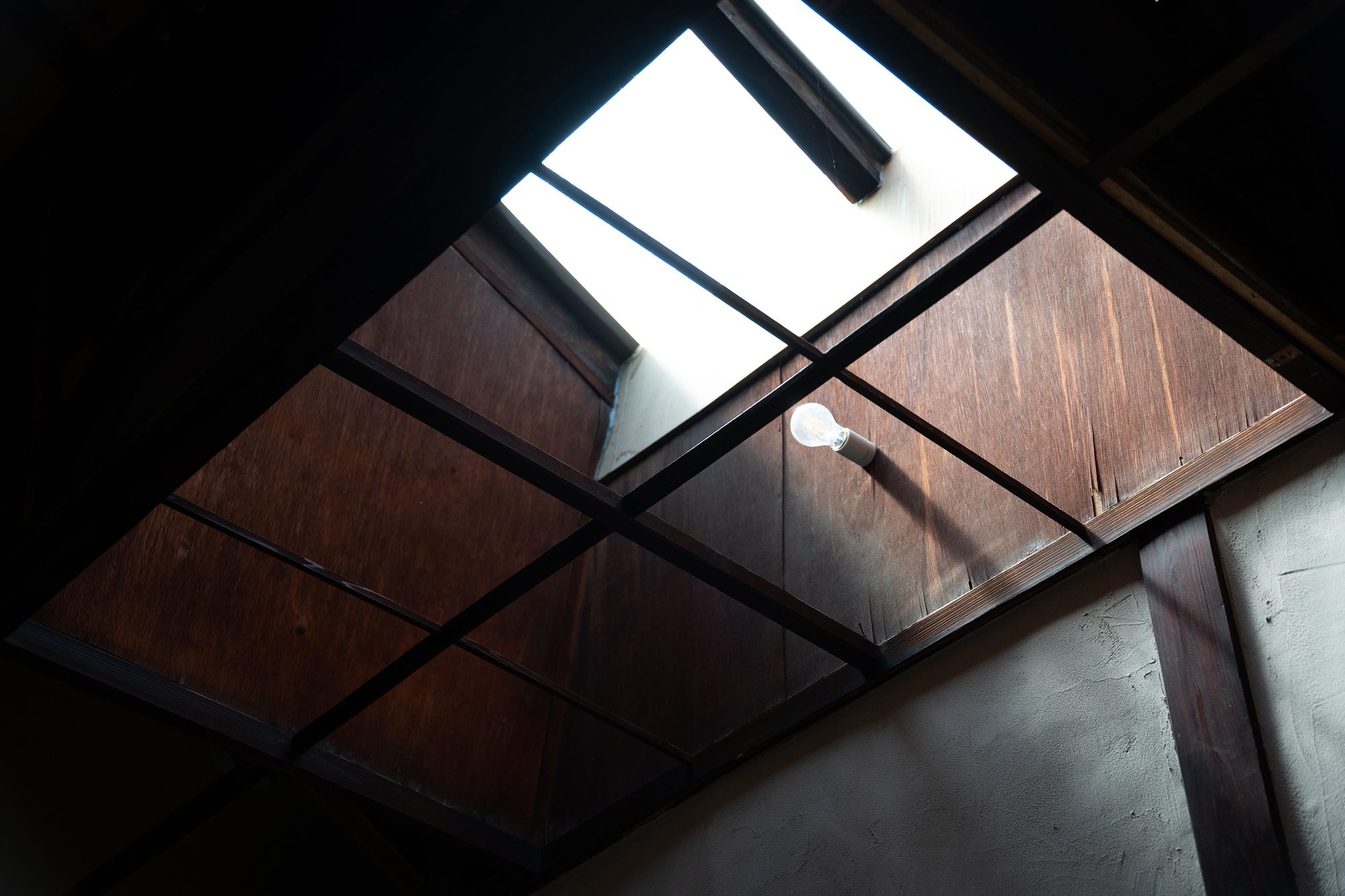 Gallery Katachi