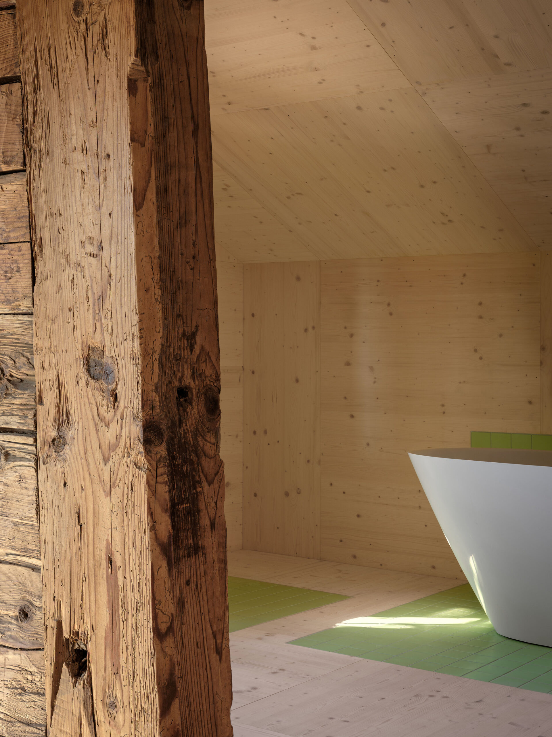 House with an Elevated Roof