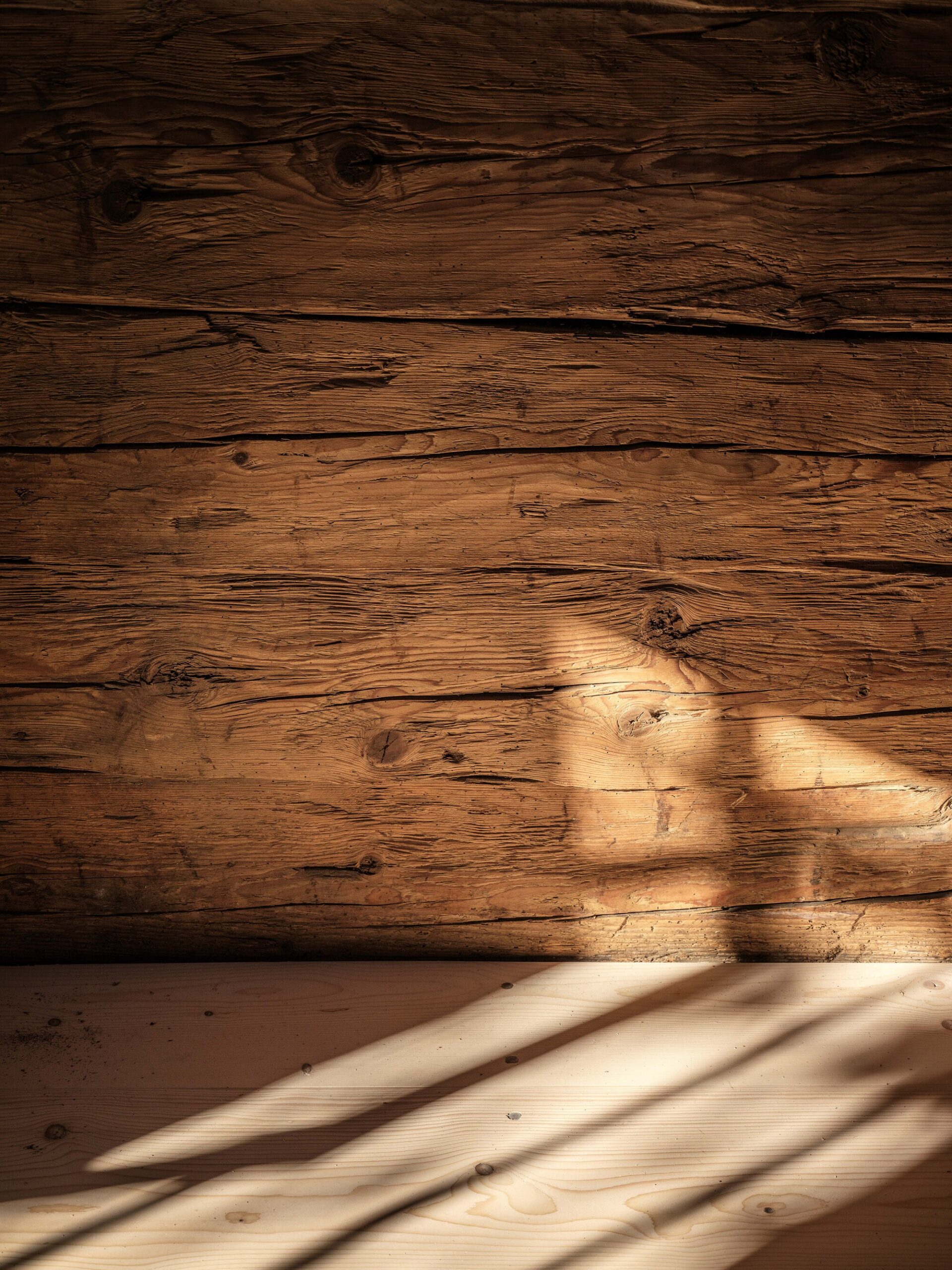 House with an Elevated Roof