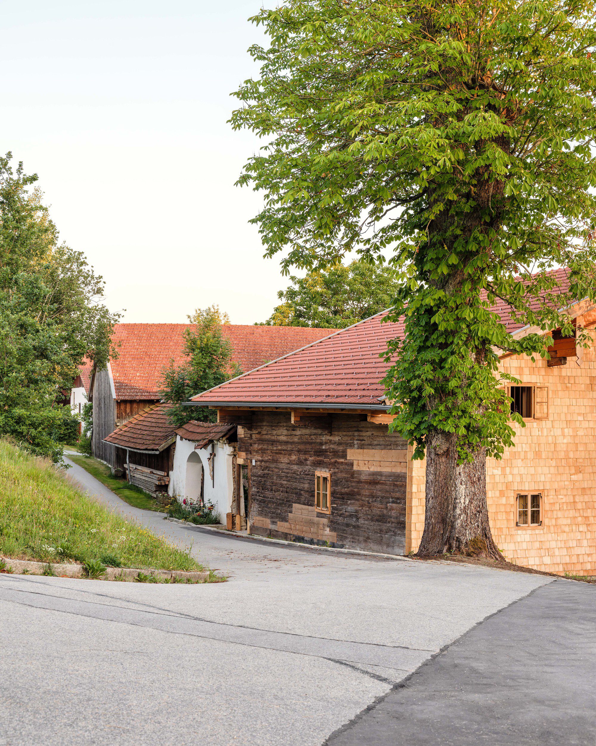 House with an Elevated Roof
