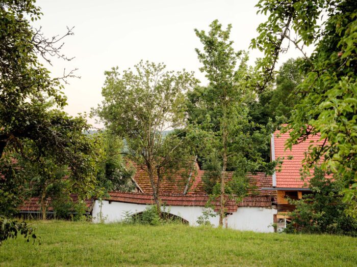House with an Elevated Roof | Maximilian Hartinger Architekt