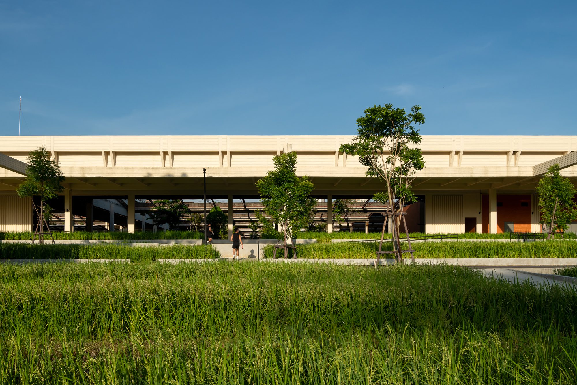 Benjakitti Forest Park