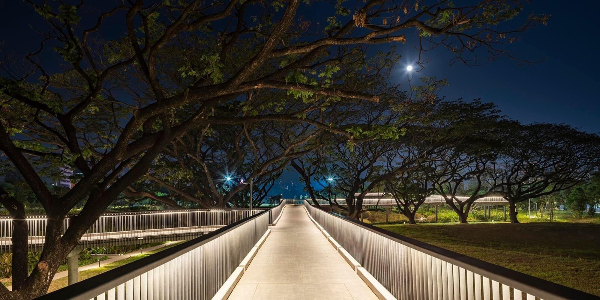 Benjakitti Forest Park