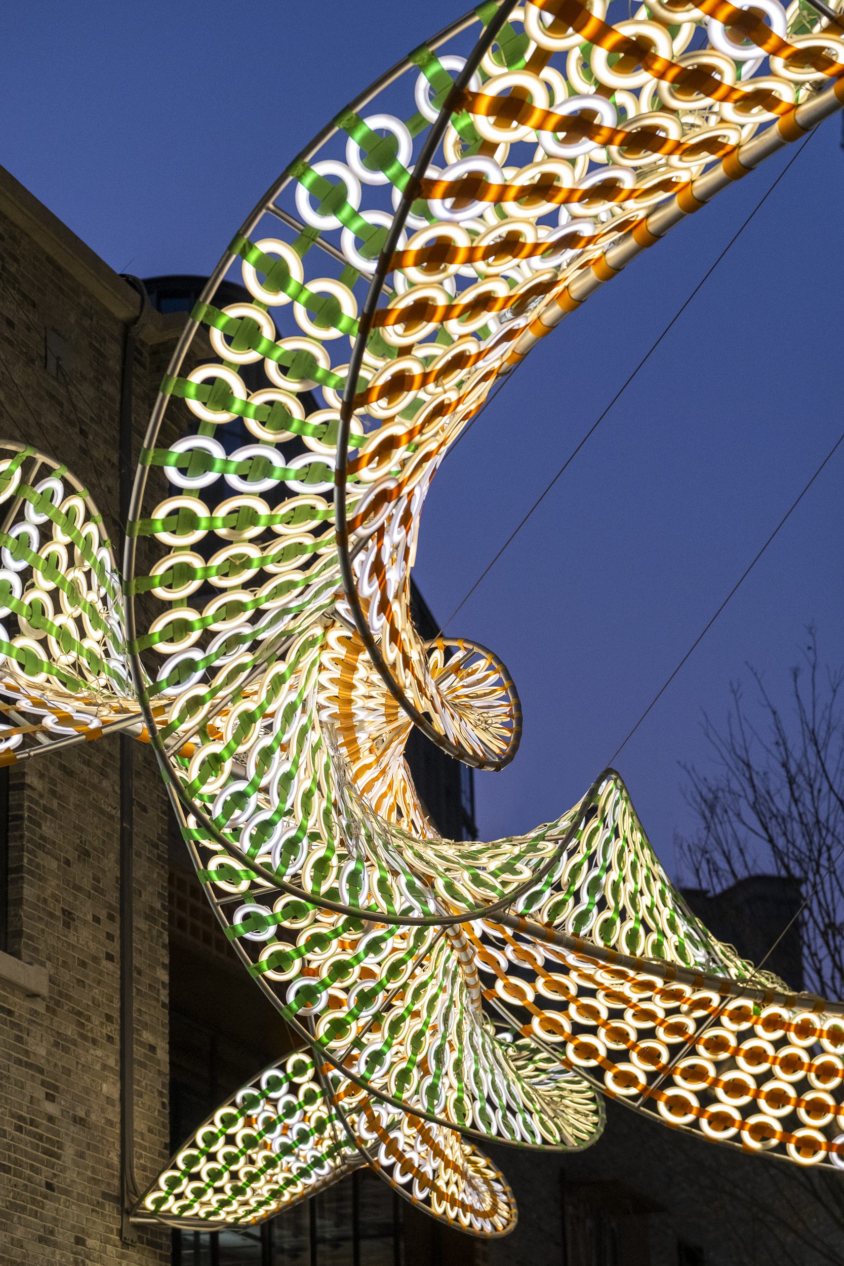 the Weaving Double Helix,