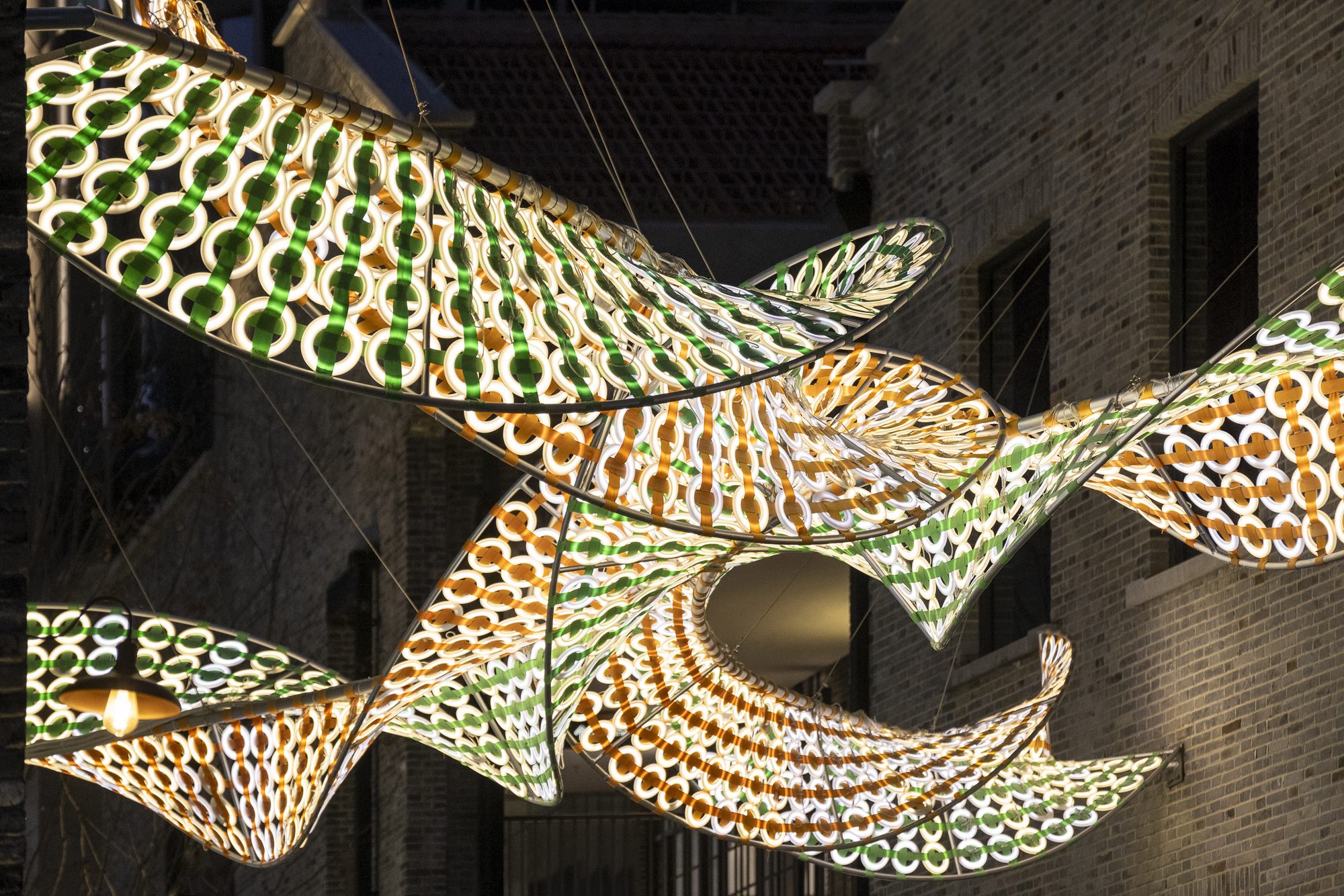 the Weaving Double Helix,