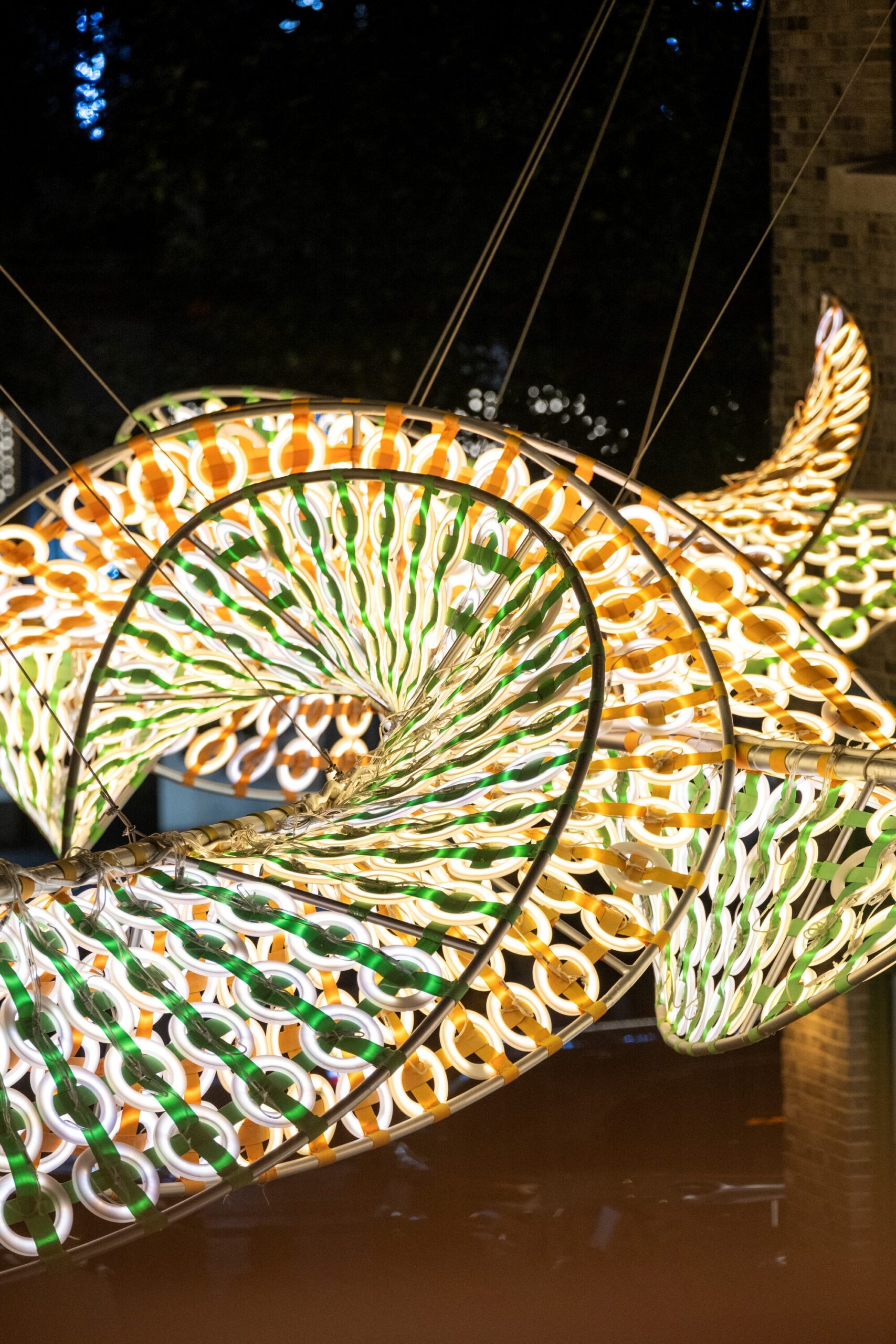 the Weaving Double Helix,