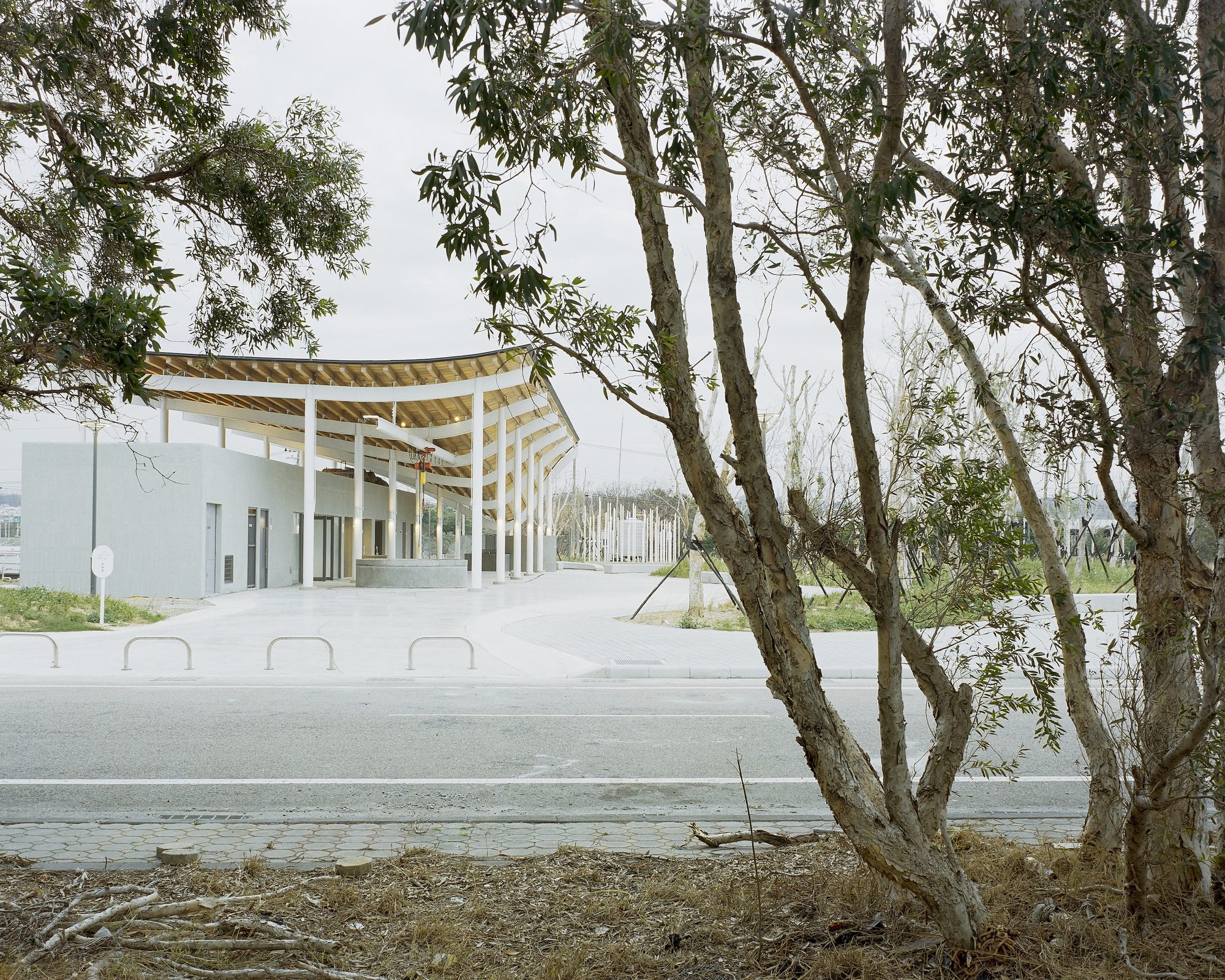 Harbourside Canopy