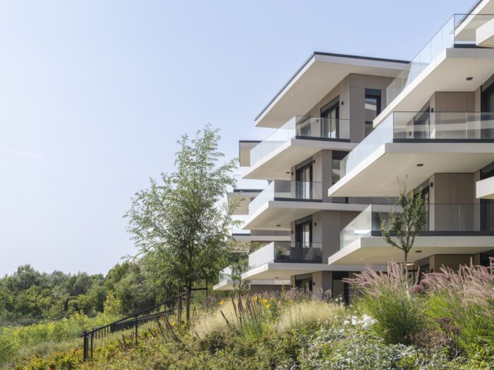 © Tamás Bujnovszky6