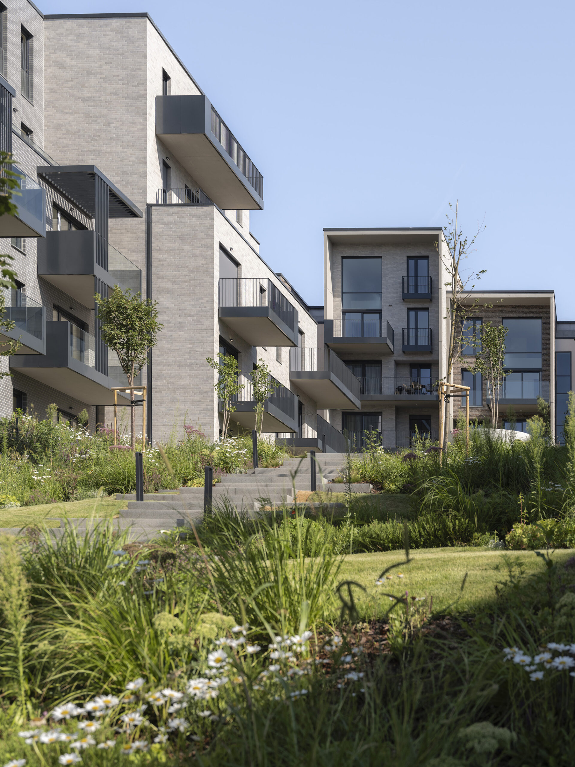 © Tamás Bujnovszky9